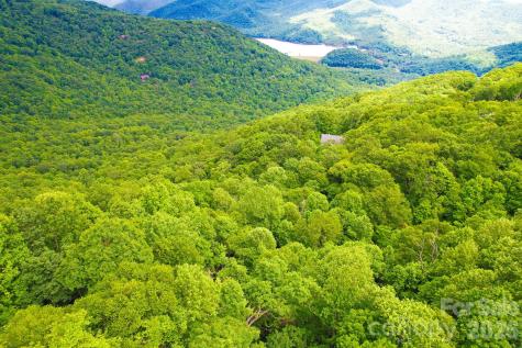 4 White Birch Court Black Mountain NC 28711