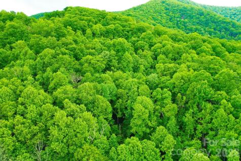 4 White Birch Court Black Mountain NC 28711