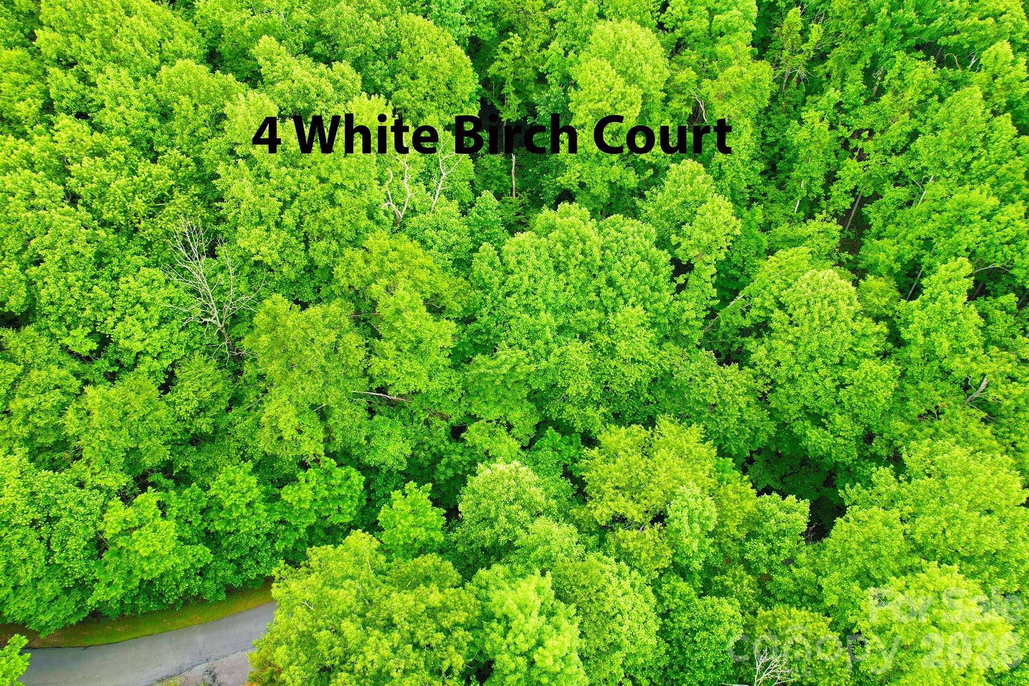 4 White Birch Court Black Mountain NC 28711