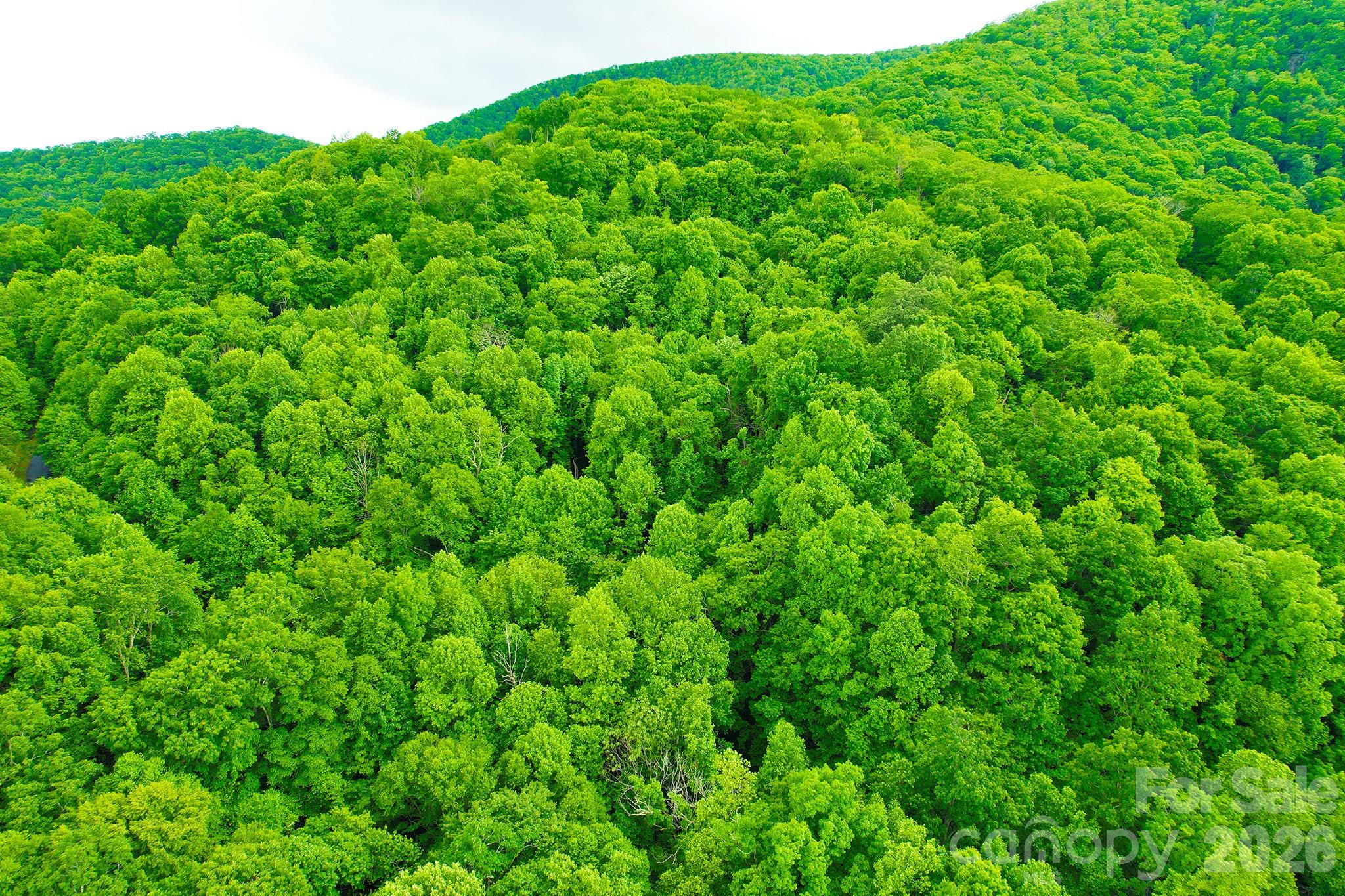 4 White Birch Court Black Mountain NC 28711