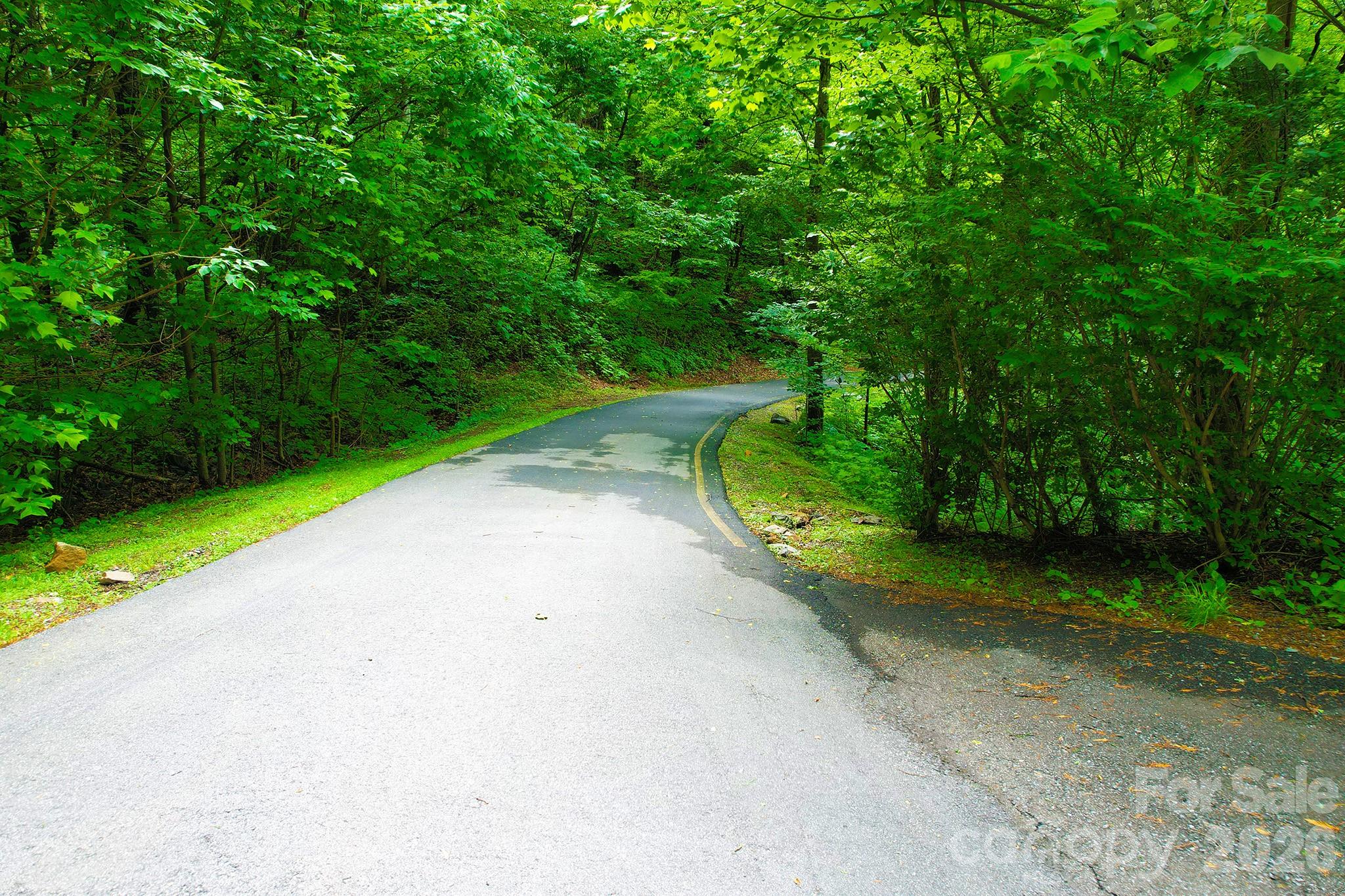 4 White Birch Court Black Mountain NC 28711