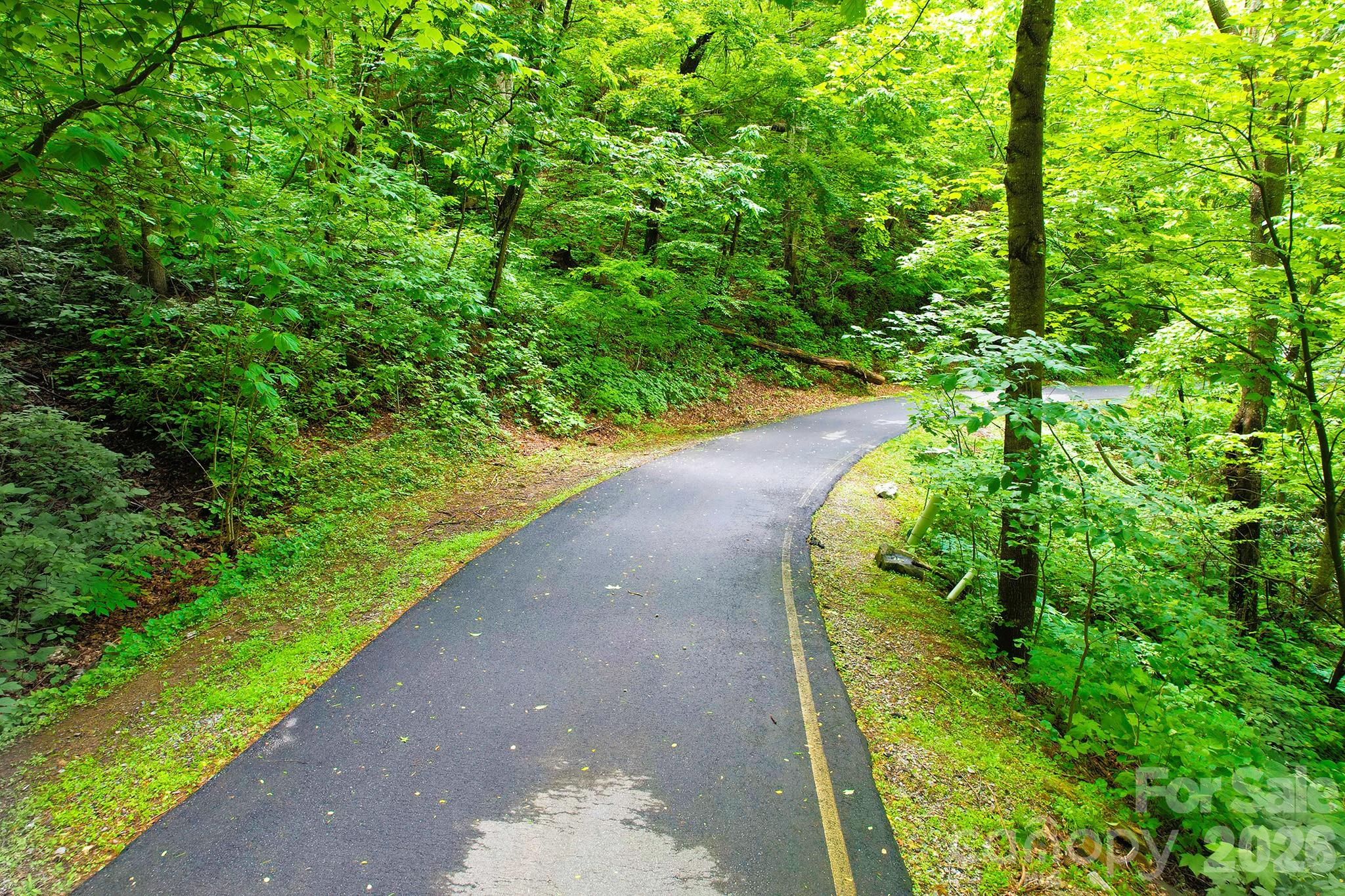 4 White Birch Court Black Mountain NC 28711