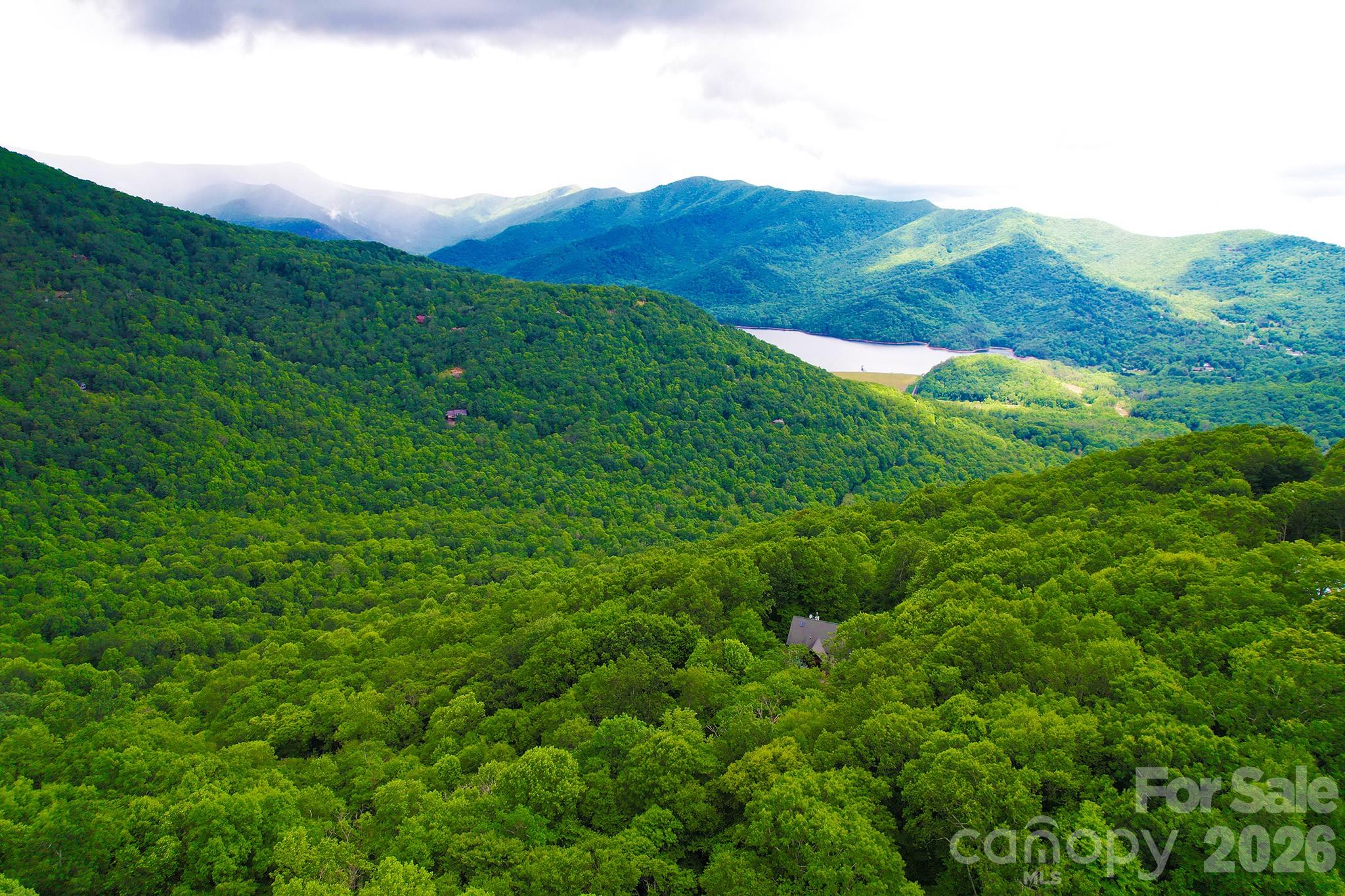 4 White Birch Court Black Mountain NC 28711