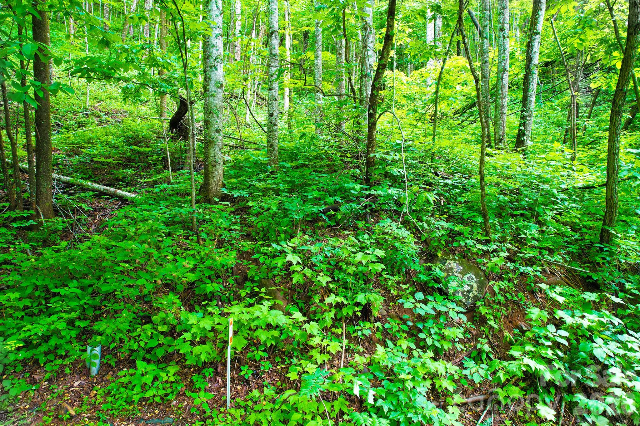 4 White Birch Court Black Mountain NC 28711