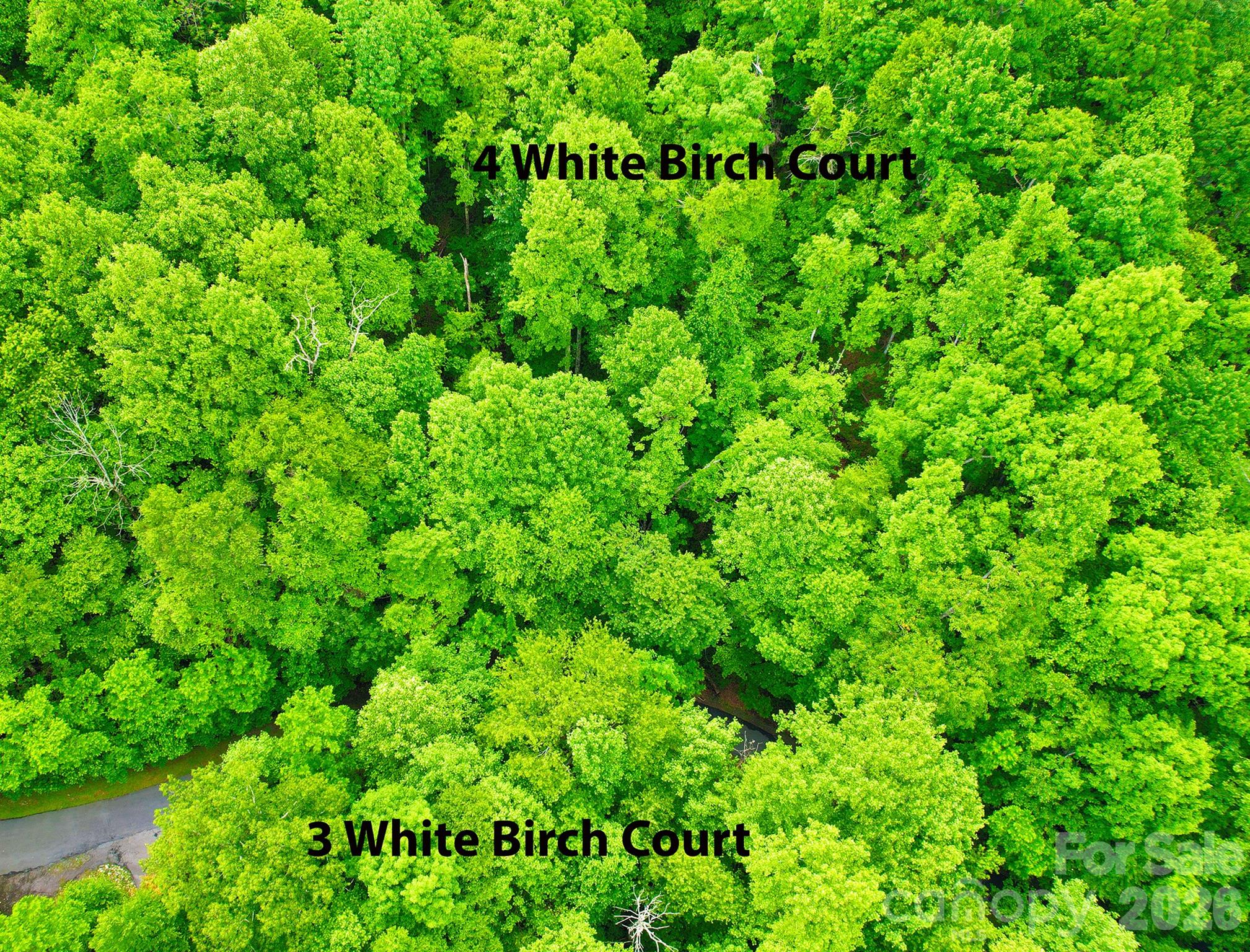 4 White Birch Court Black Mountain NC 28711