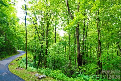 4 White Birch Court Black Mountain NC 28711