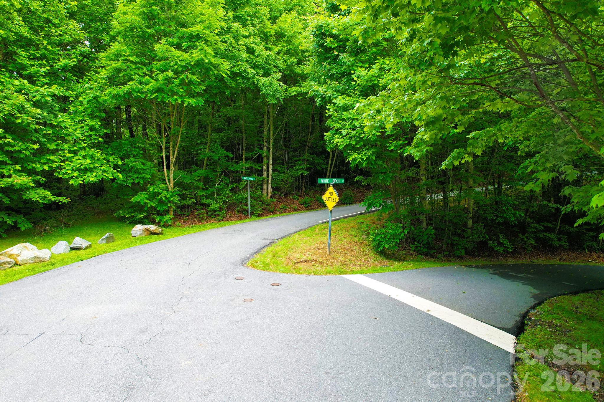 4 White Birch Court Black Mountain NC 28711
