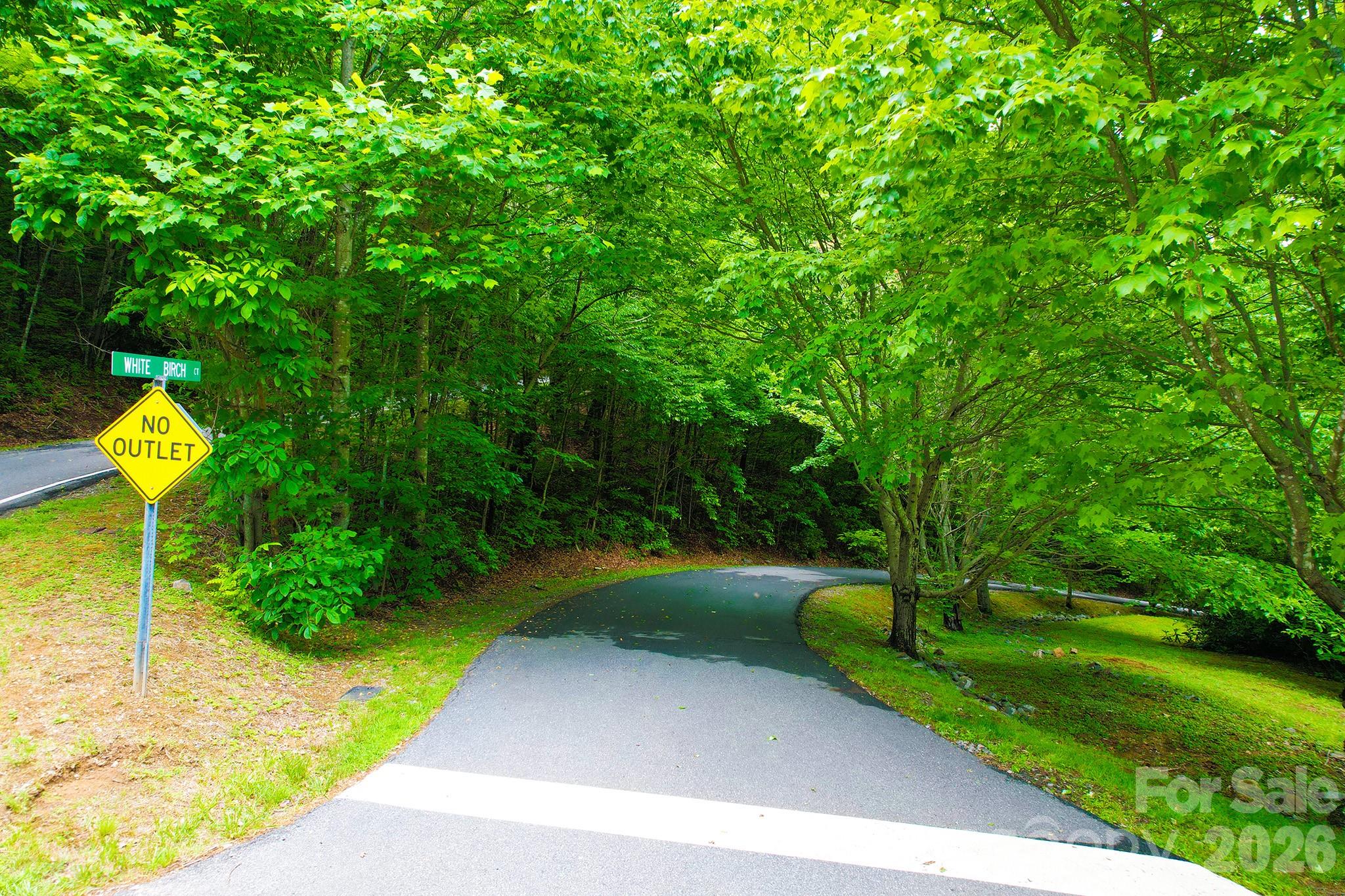 4 White Birch Court Black Mountain NC 28711