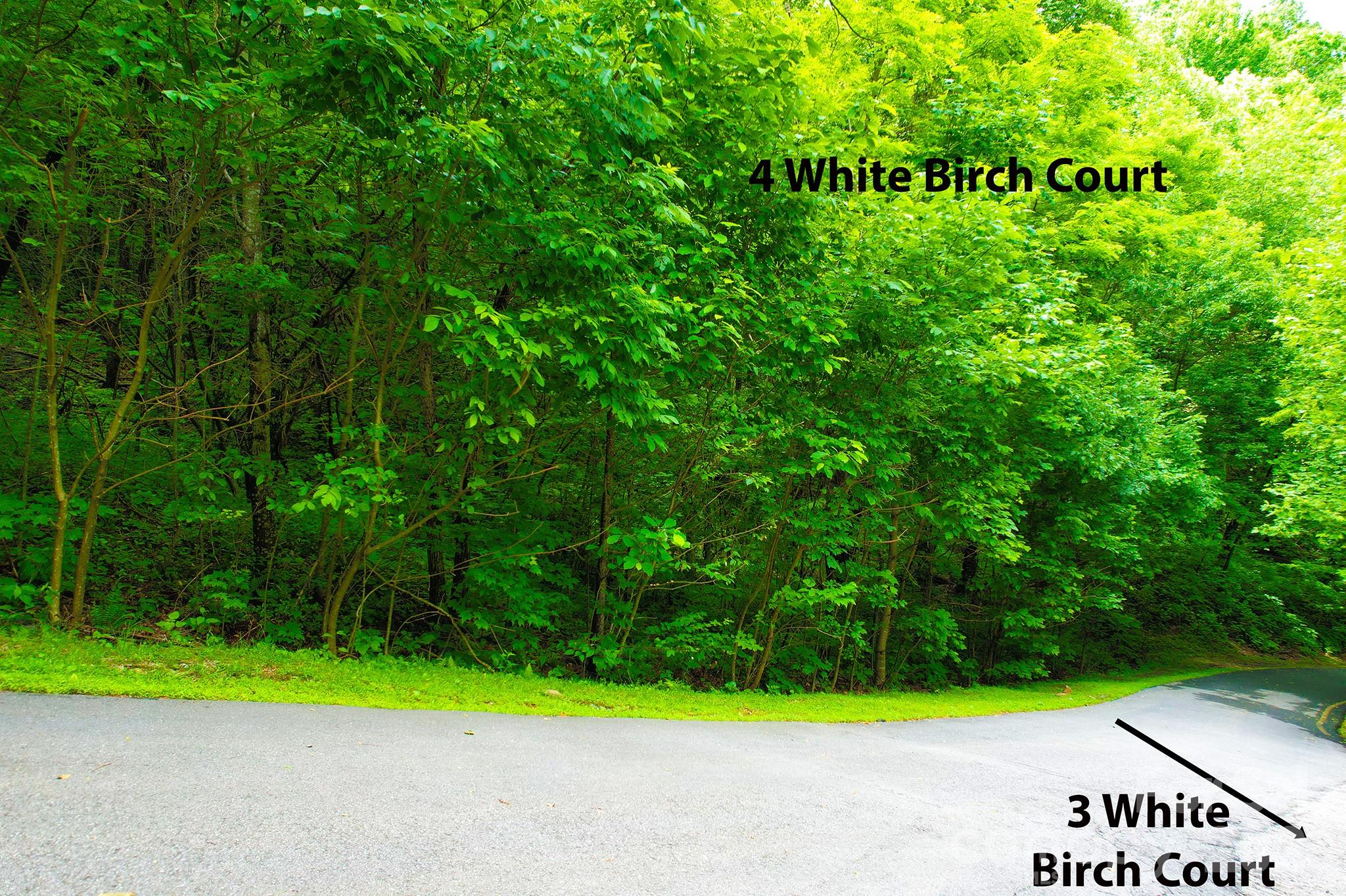 4 White Birch Court Black Mountain NC 28711