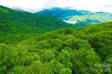 4 White Birch Court Black Mountain NC 28711