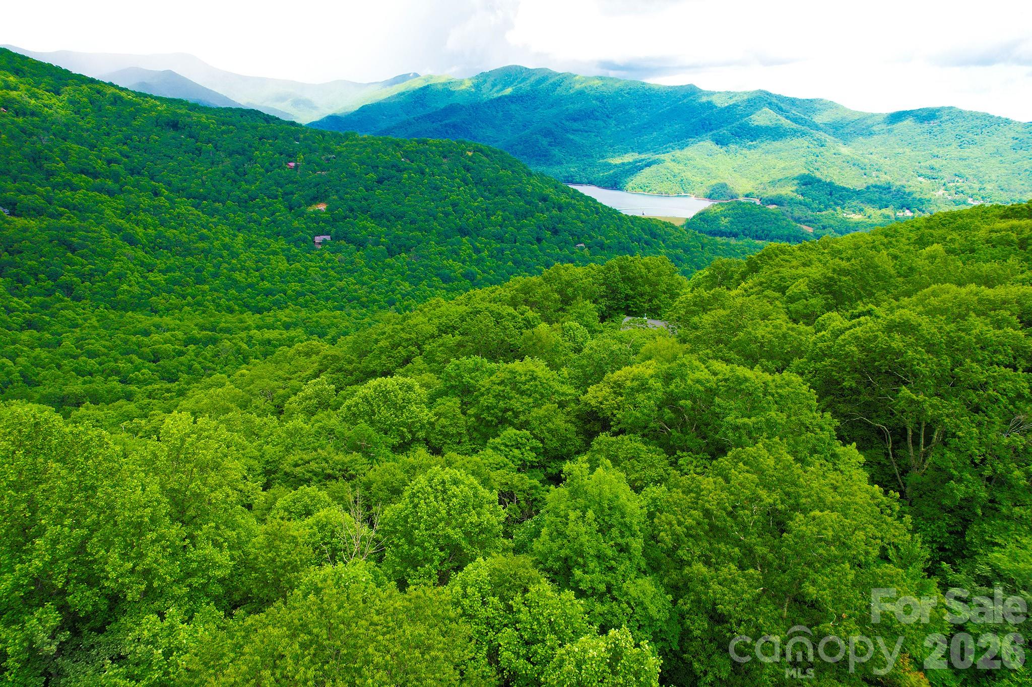 4 White Birch Court Black Mountain NC 28711