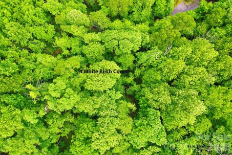 4 White Birch Court Black Mountain NC 28711