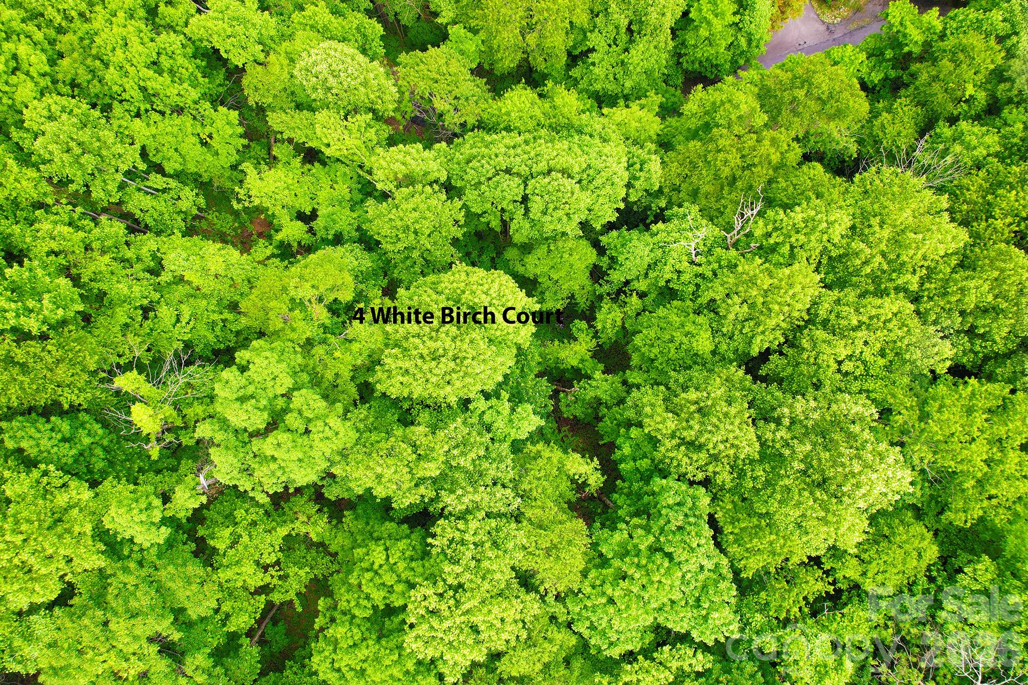 4 White Birch Court Black Mountain NC 28711