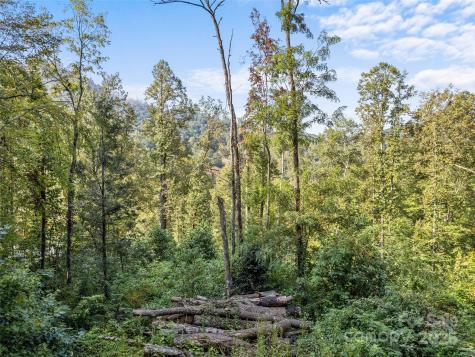 00 E Cope Creek Road Sylva NC 28779