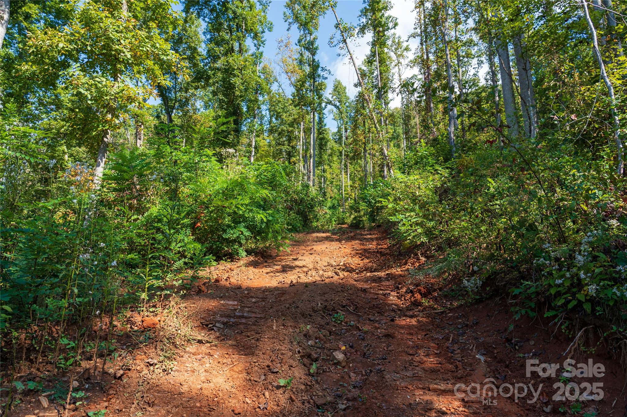 00 E Cope Creek Road Sylva NC 28779