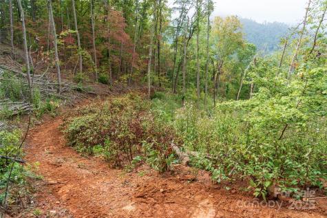 00 E Cope Creek Road Sylva NC 28779