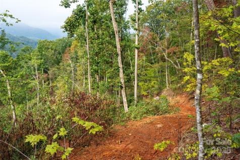 00 E Cope Creek Road Sylva NC 28779