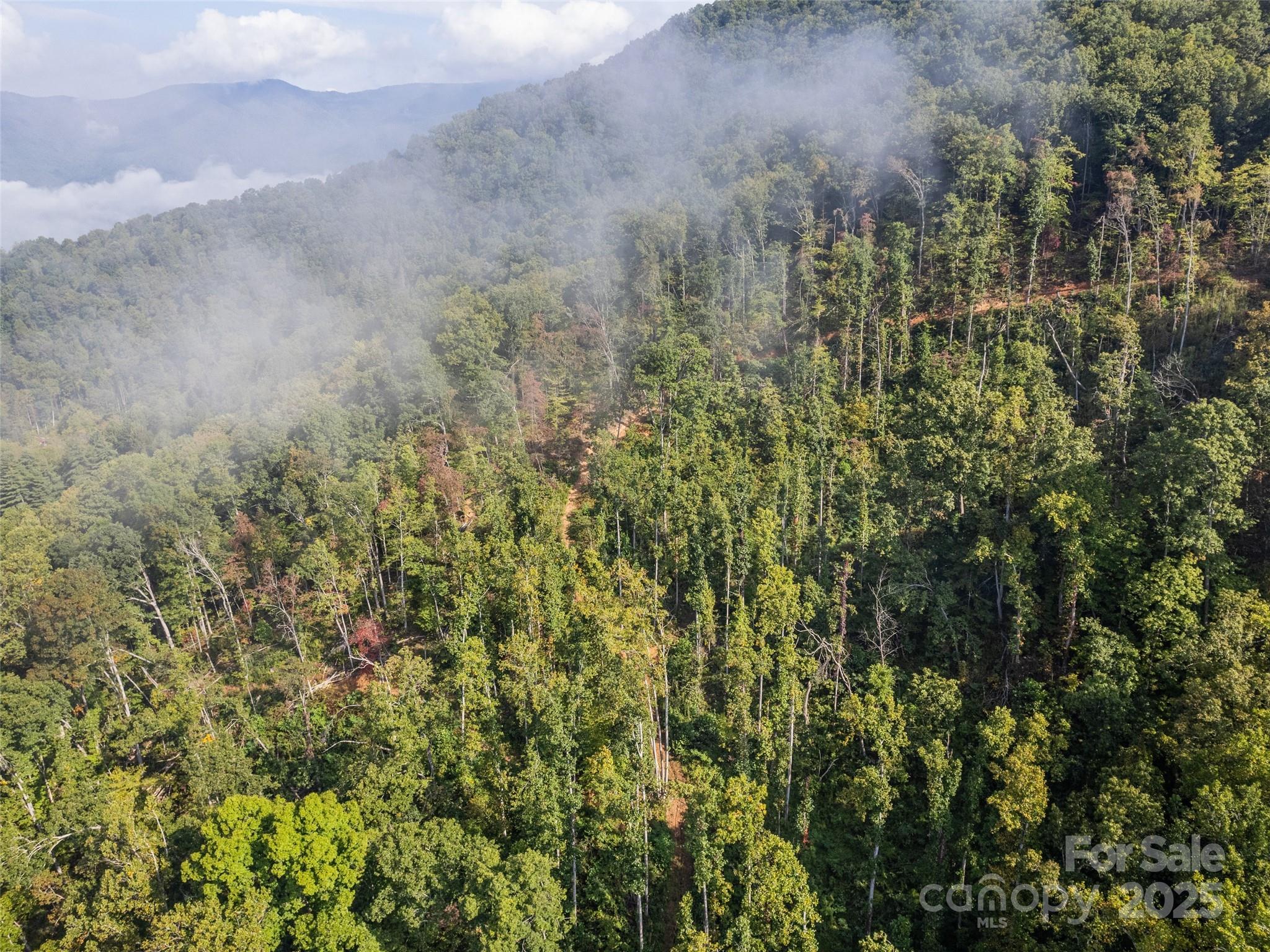 00 E Cope Creek Road Sylva NC 28779