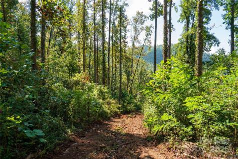 00 E Cope Creek Road Sylva NC 28779