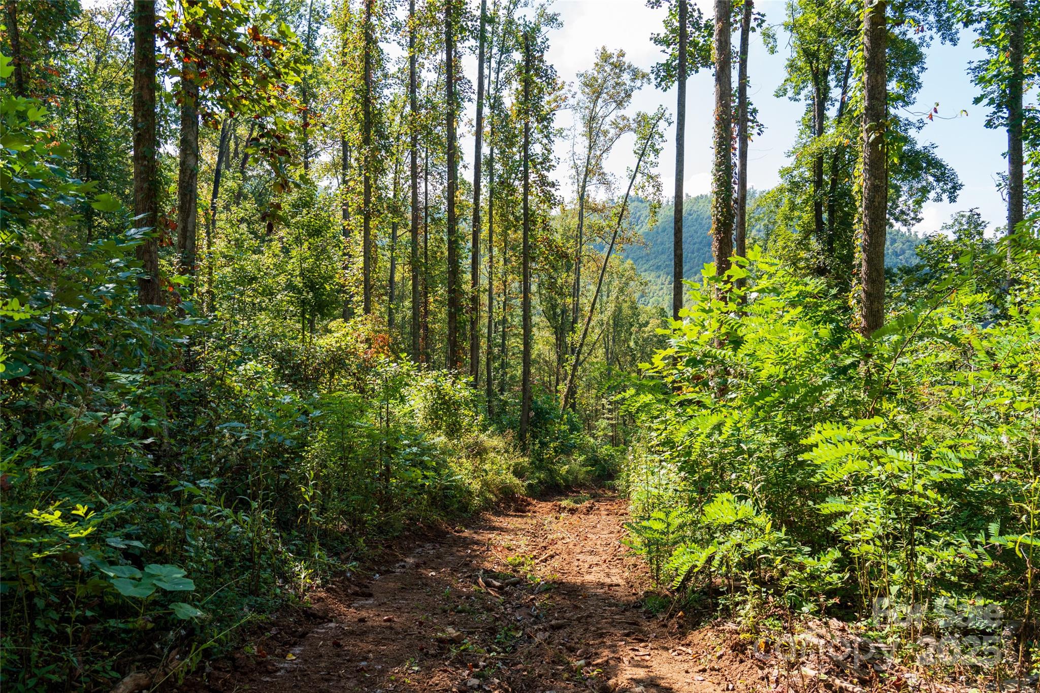 00 E Cope Creek Road Sylva NC 28779