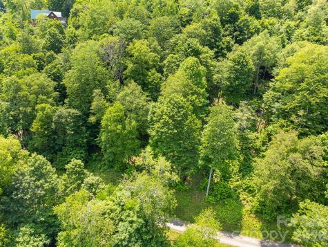 16 Mountain Gait Drive Mars Hill NC 28754
