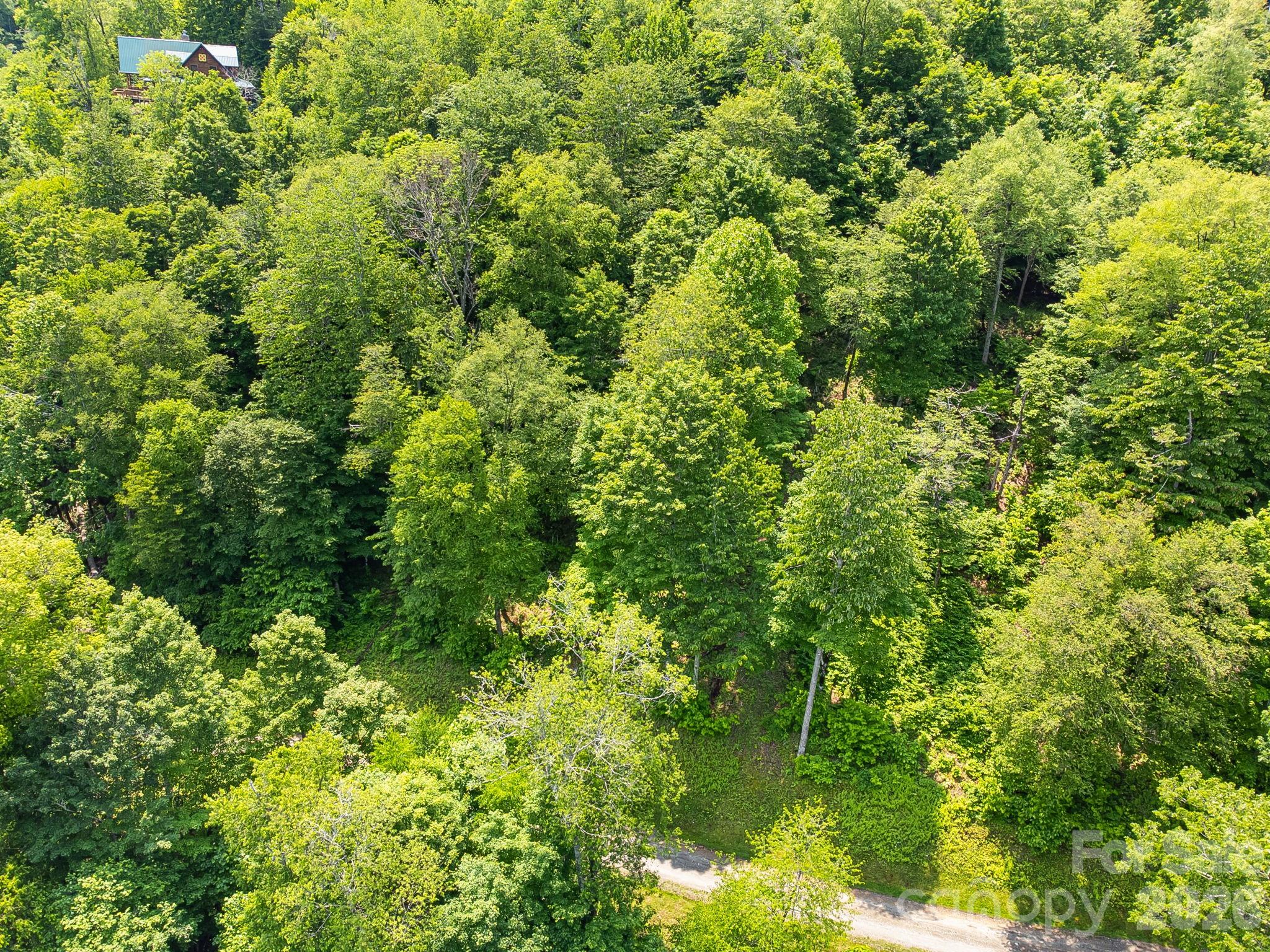 16 Mountain Gait Drive Mars Hill NC 28754