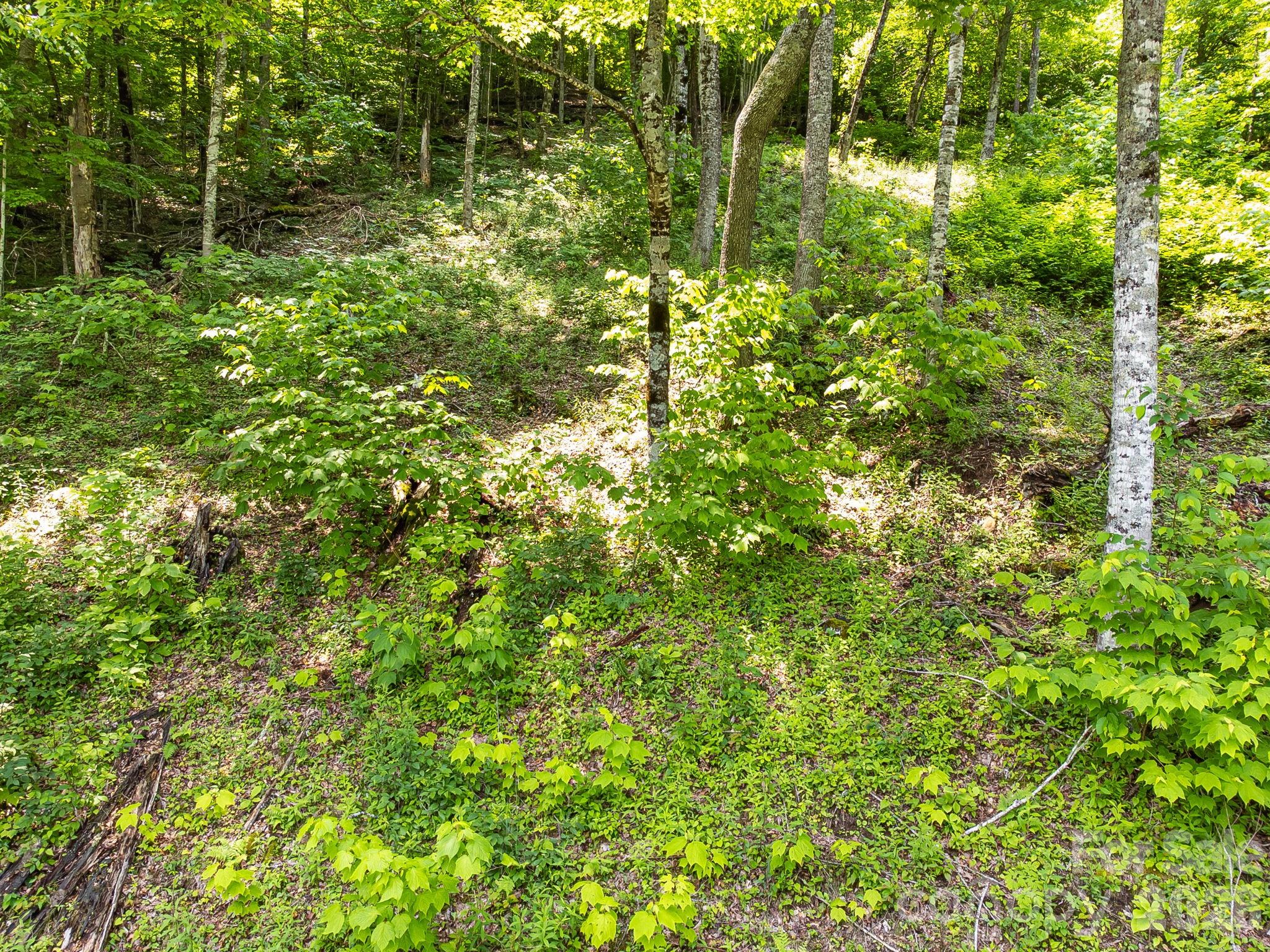 16 Mountain Gait Drive Mars Hill NC 28754