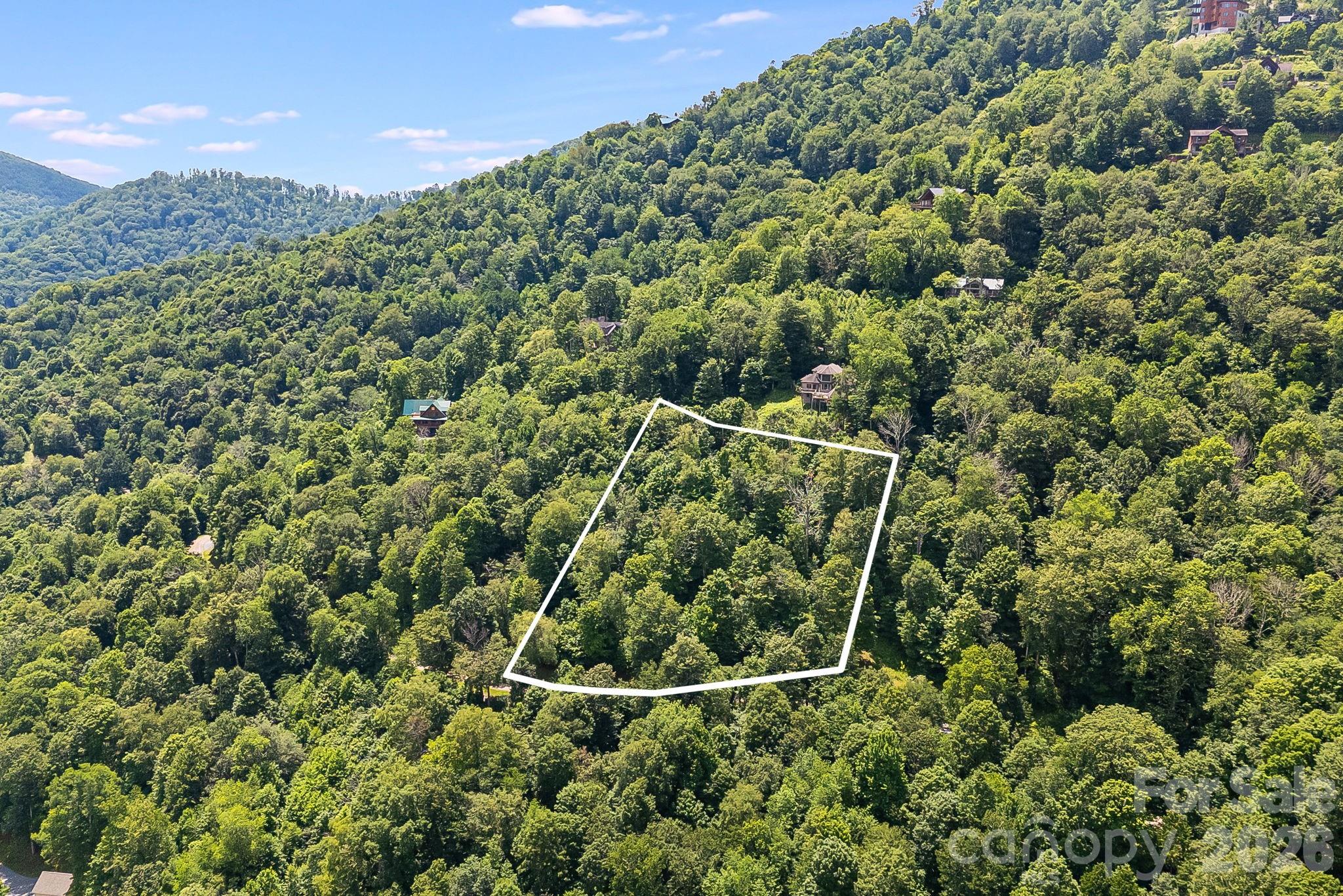 16 Mountain Gait Drive Mars Hill NC 28754