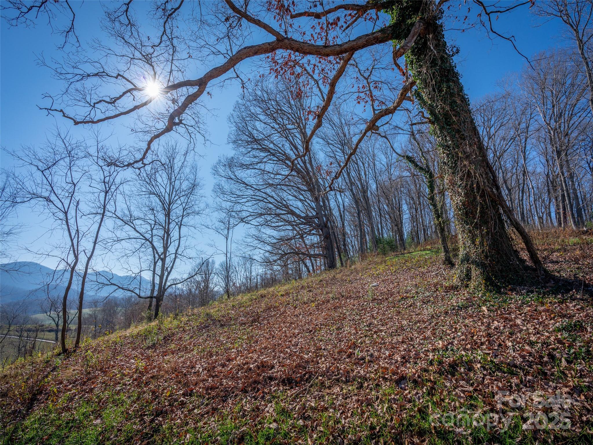 00 Aster Ridge Drive Waynesville NC 28786