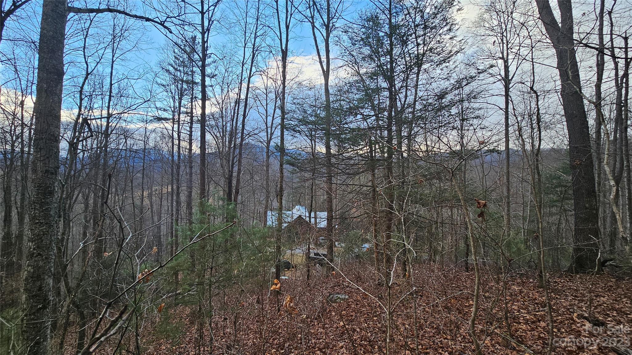 Lot 14 Seay Mountain Road Waynesville NC 28785