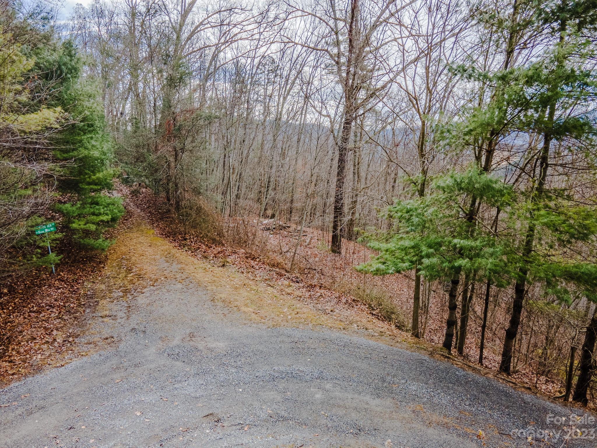 Lot 14 Seay Mountain Road Waynesville NC 28785