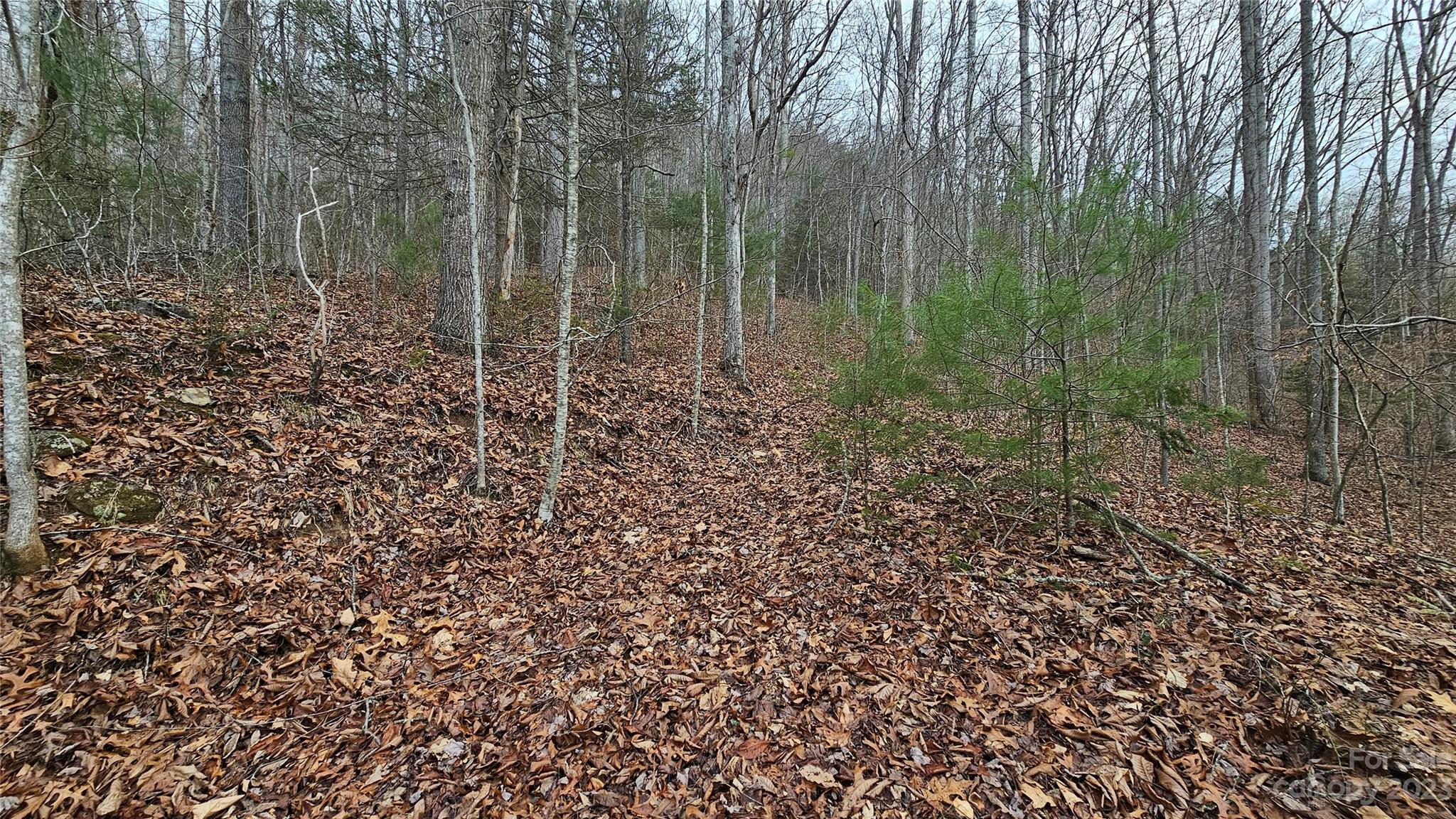 Lot 14 Seay Mountain Road Waynesville NC 28785