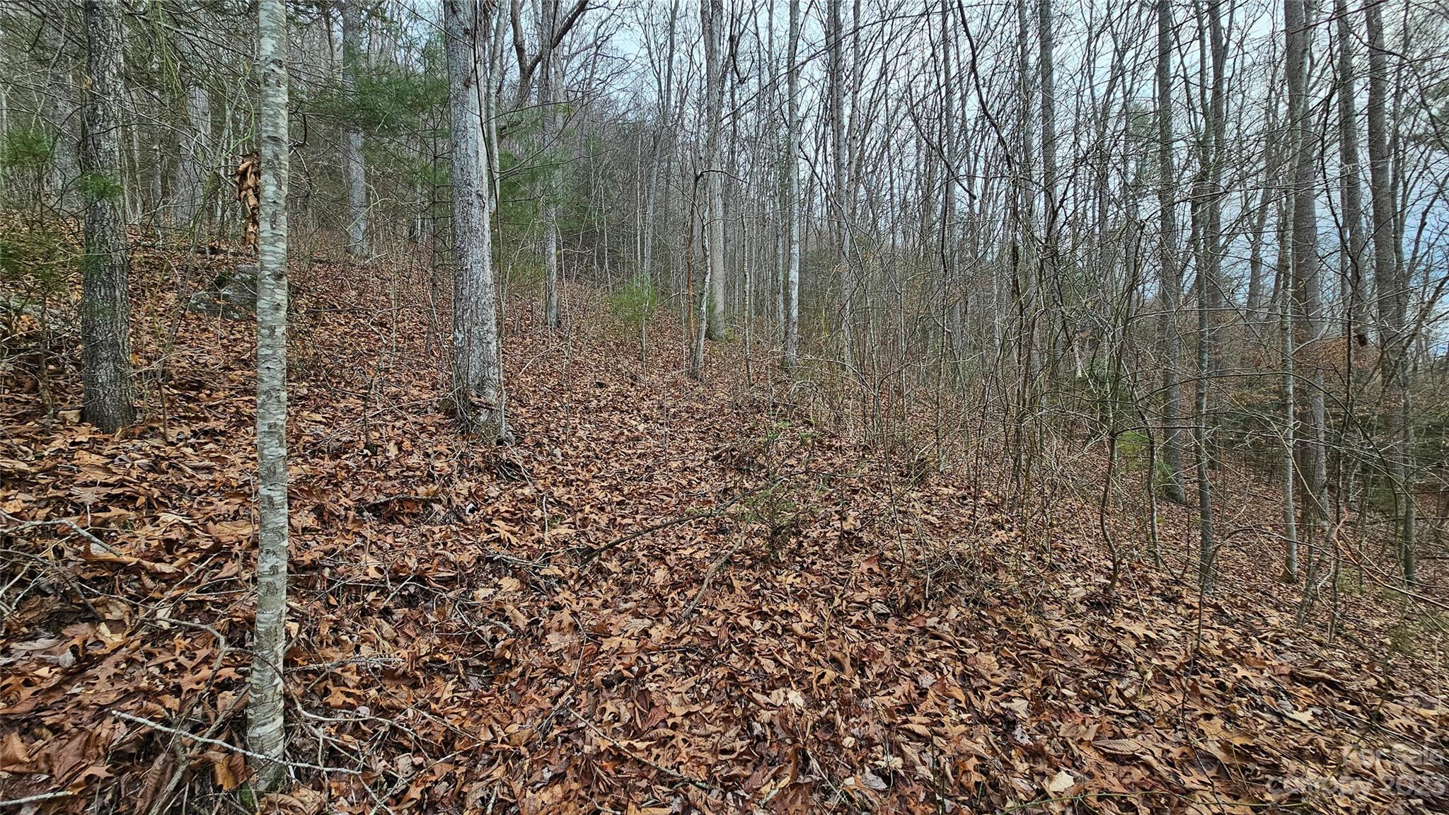 Lot 14 Seay Mountain Road Waynesville NC 28785
