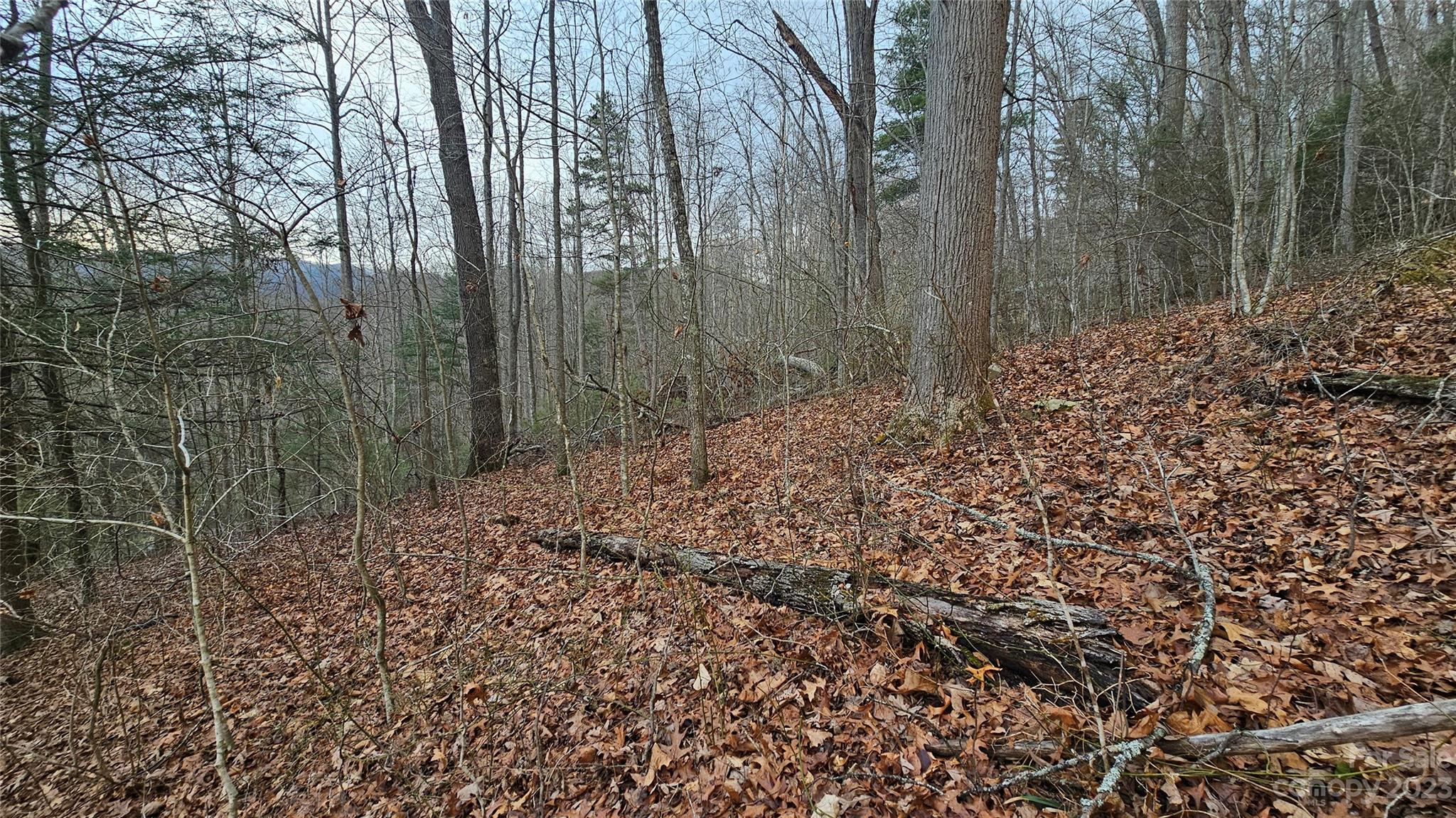 Lot 14 Seay Mountain Road Waynesville NC 28785