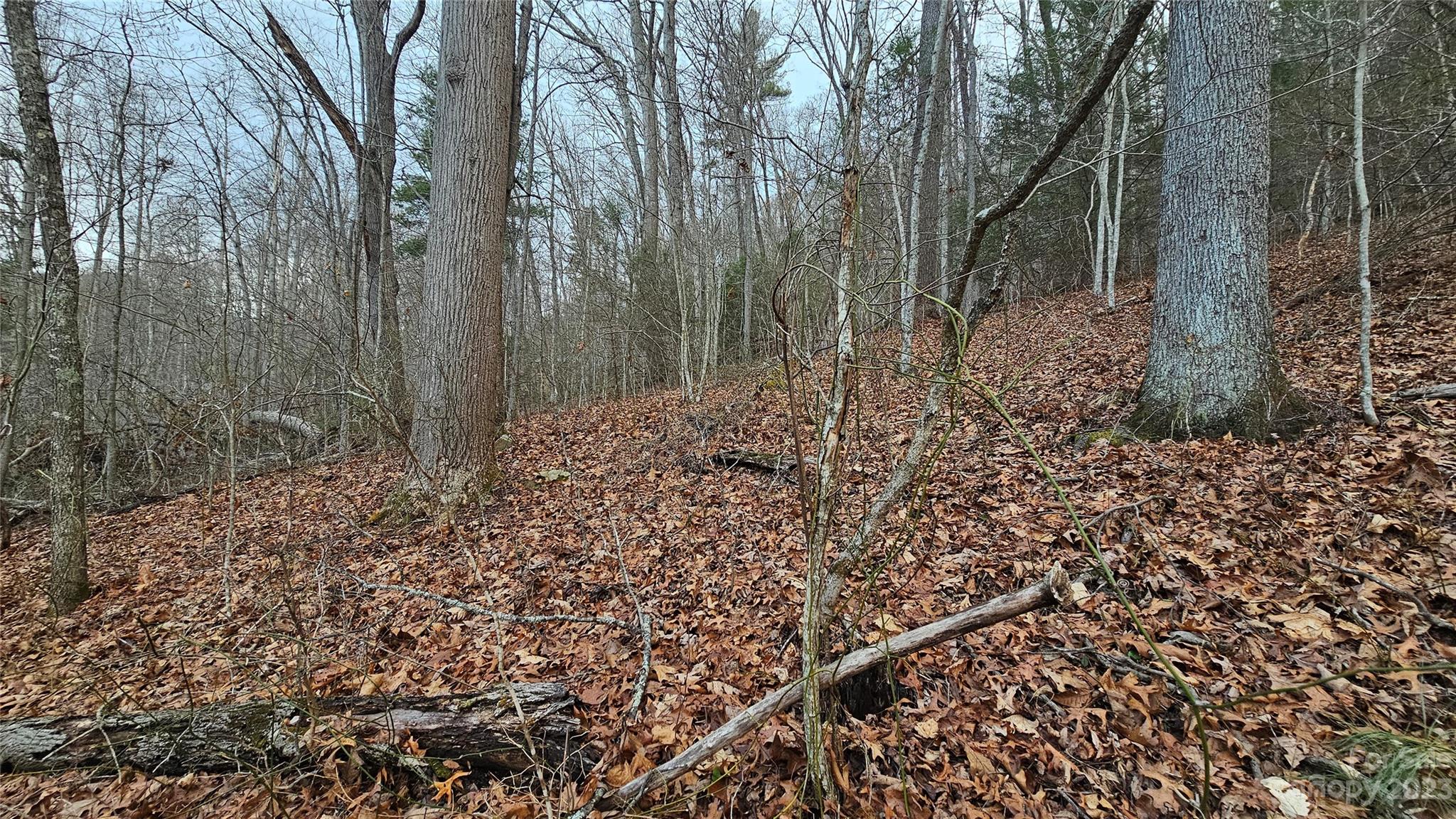 Lot 14 Seay Mountain Road Waynesville NC 28785
