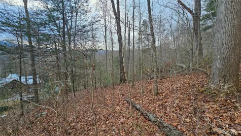 Lot 14 Seay Mountain Road Waynesville NC 28785