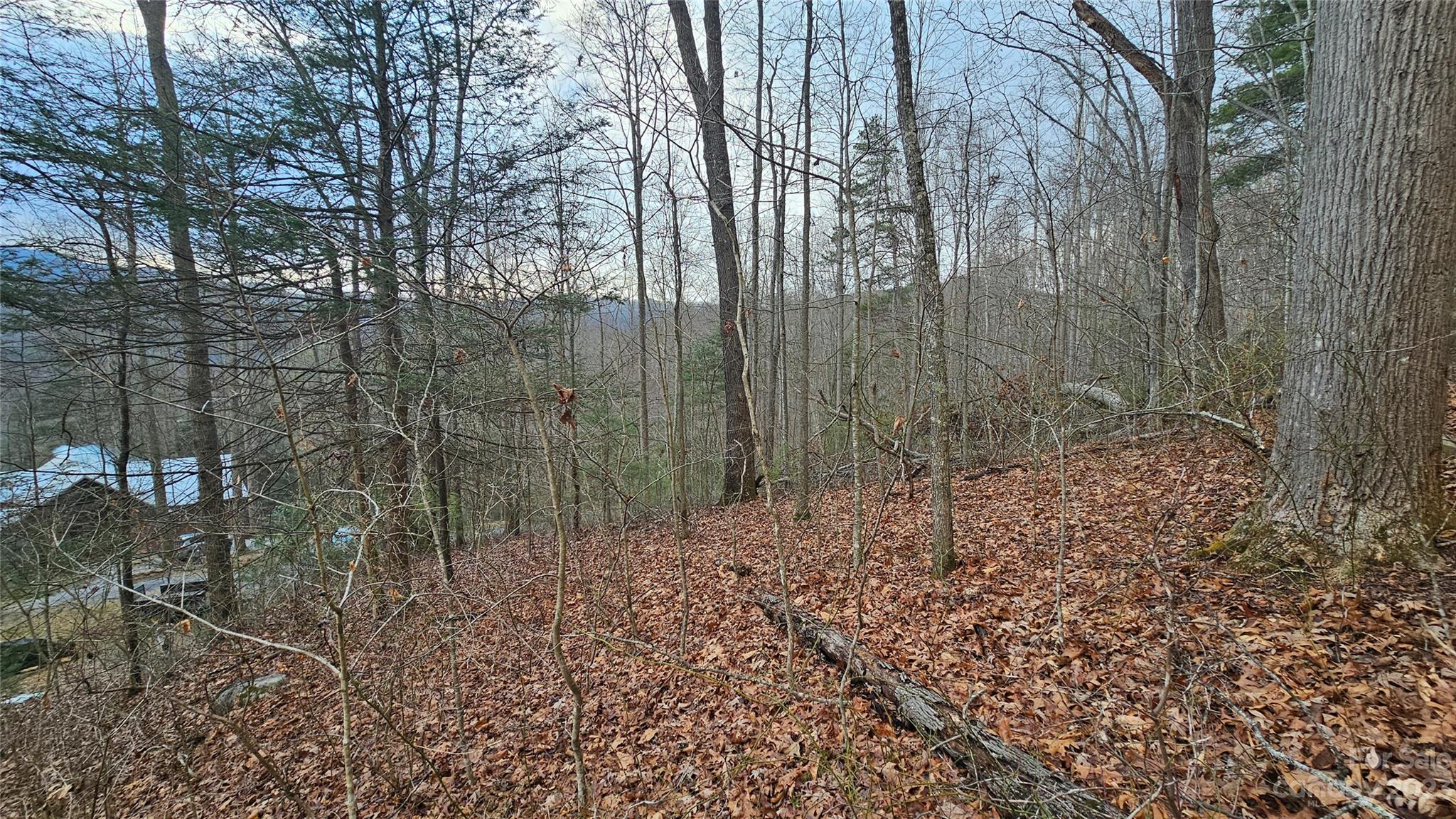 Lot 14 Seay Mountain Road Waynesville NC 28785
