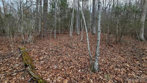 Lot 14 Seay Mountain Road Waynesville NC 28785