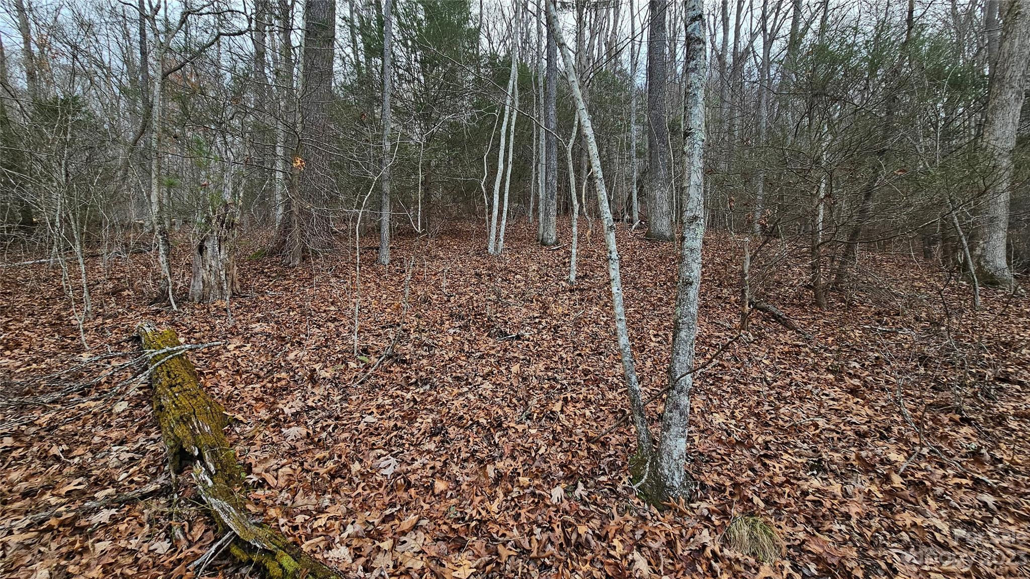 Lot 14 Seay Mountain Road Waynesville NC 28785