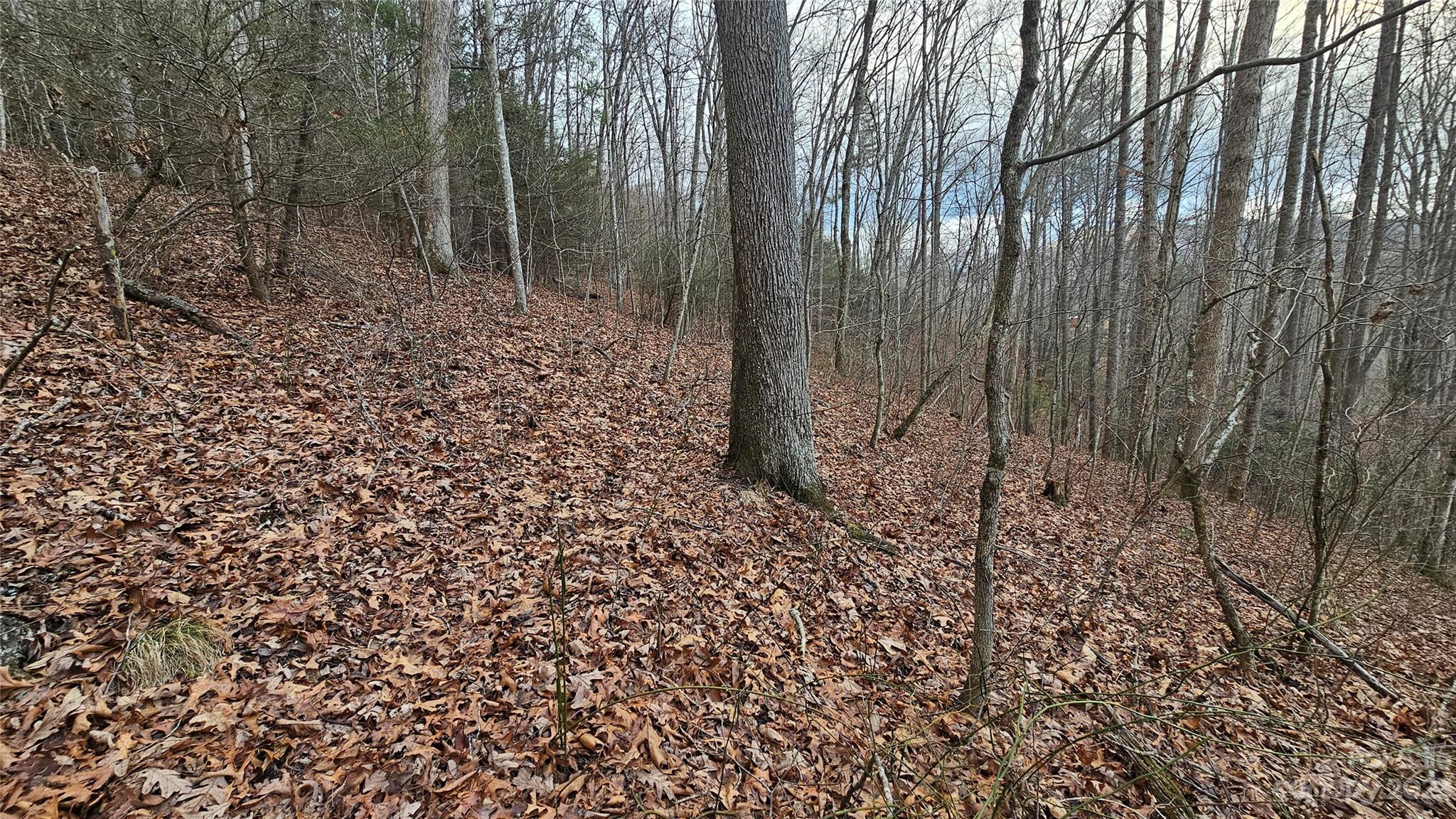 Lot 14 Seay Mountain Road Waynesville NC 28785
