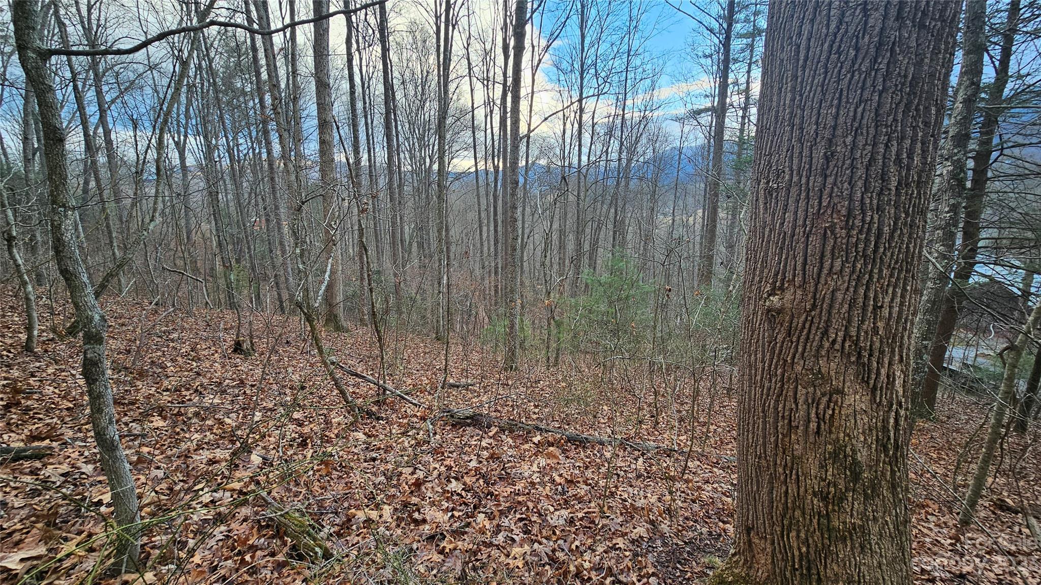 Lot 14 Seay Mountain Road Waynesville NC 28785