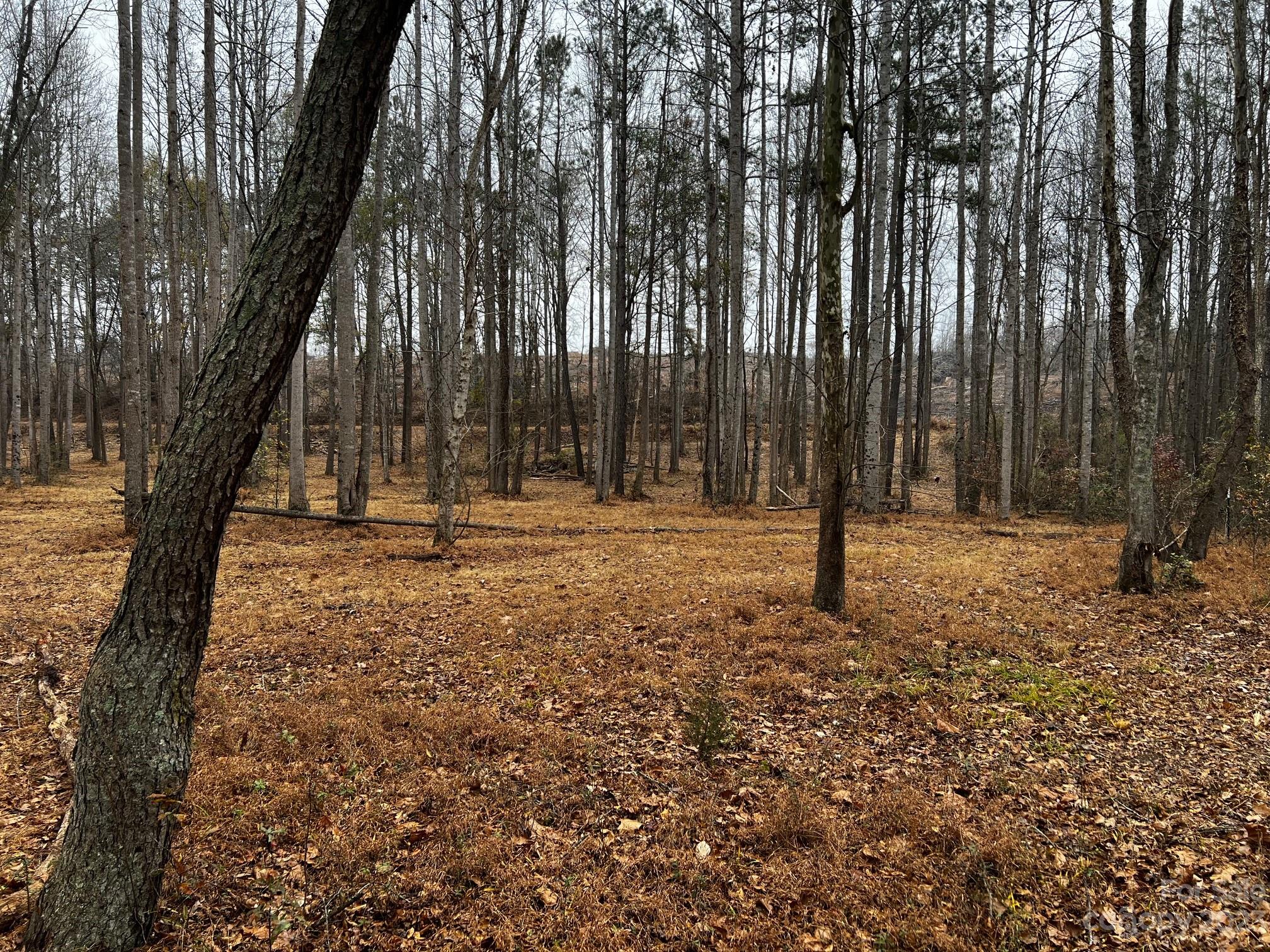 Lot 156 Lookout Dam Road Statesville NC 28625