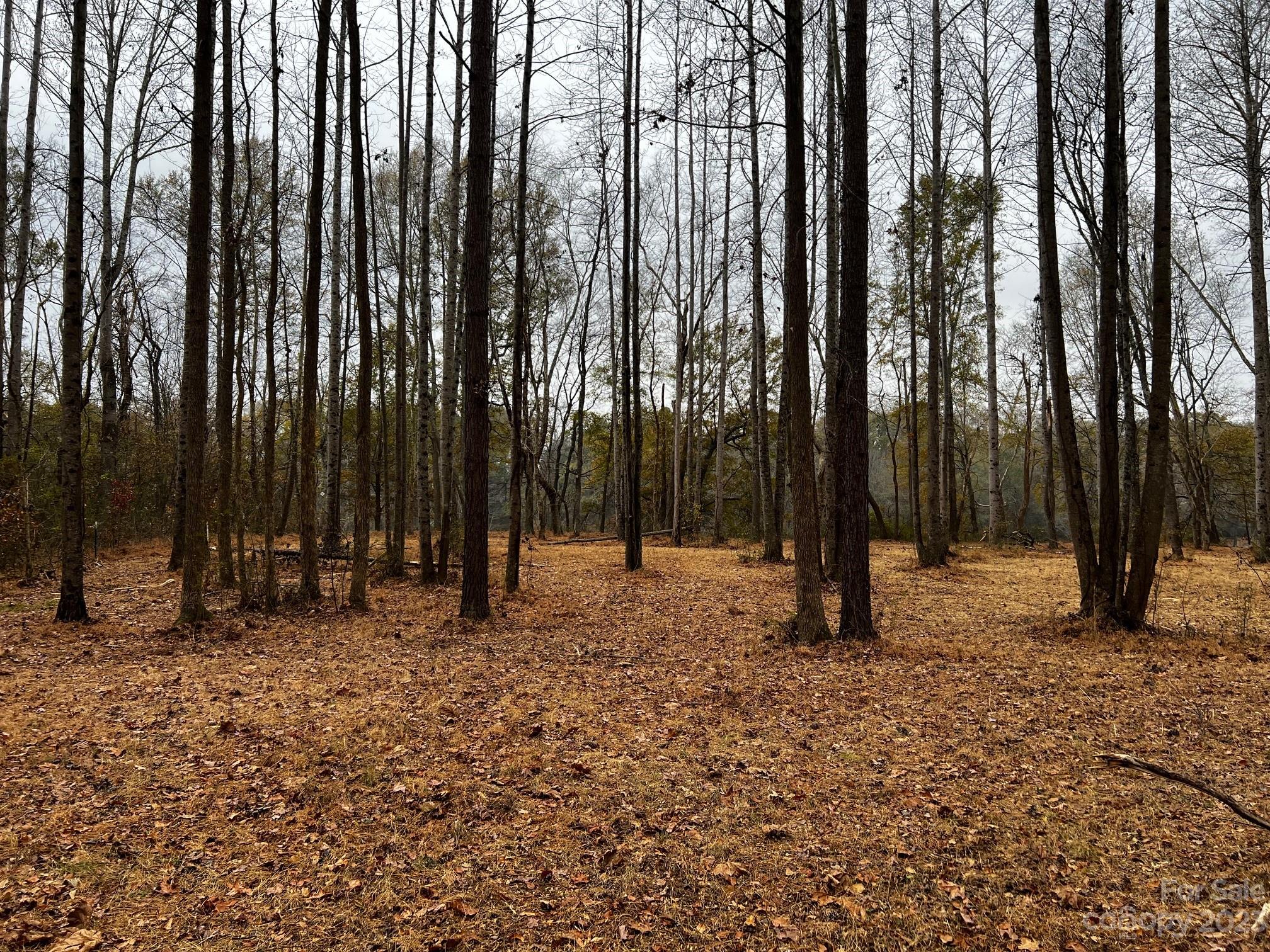 Lot 156 Lookout Dam Road Statesville NC 28625