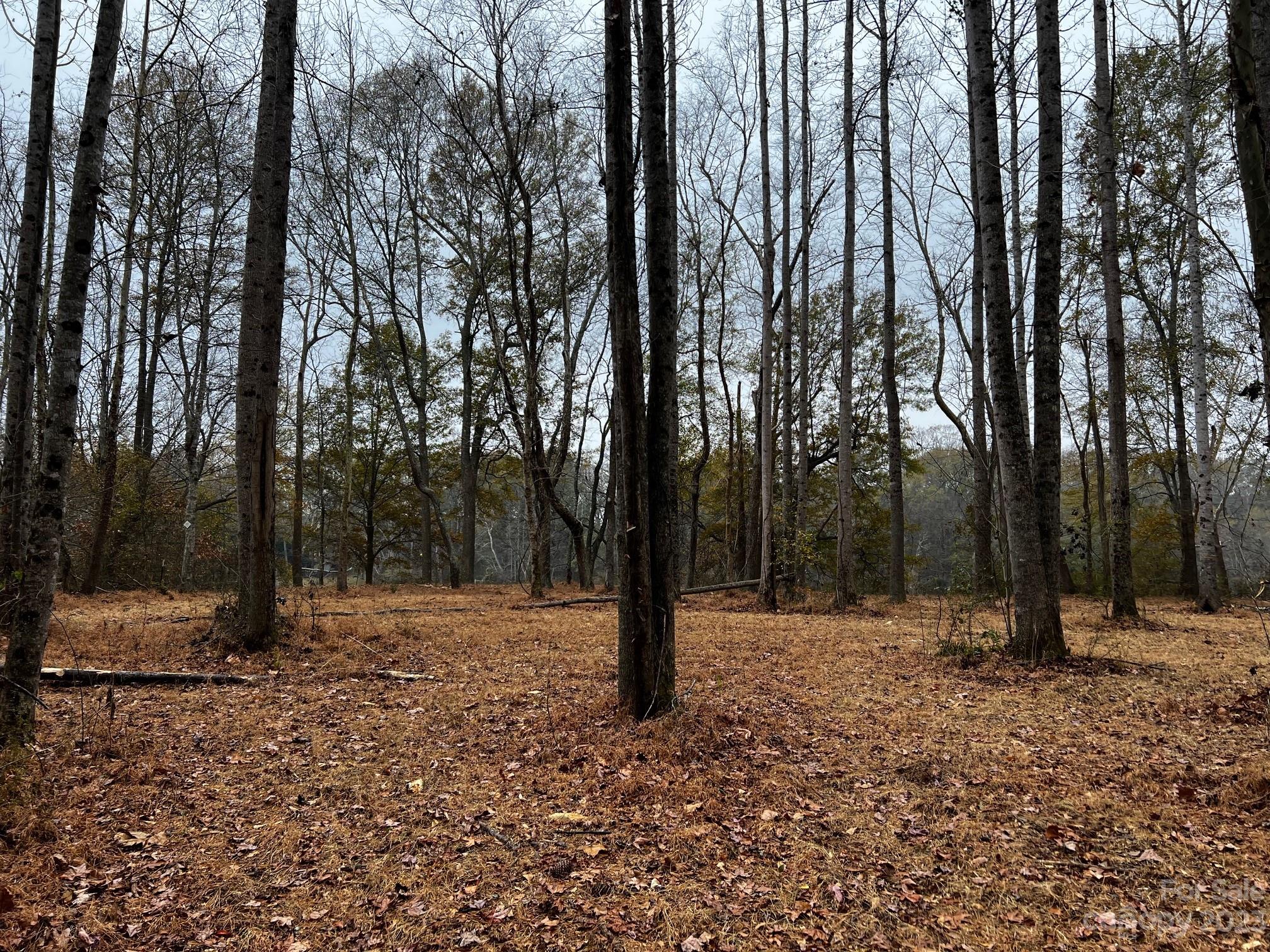 Lot 156 Lookout Dam Road Statesville NC 28625