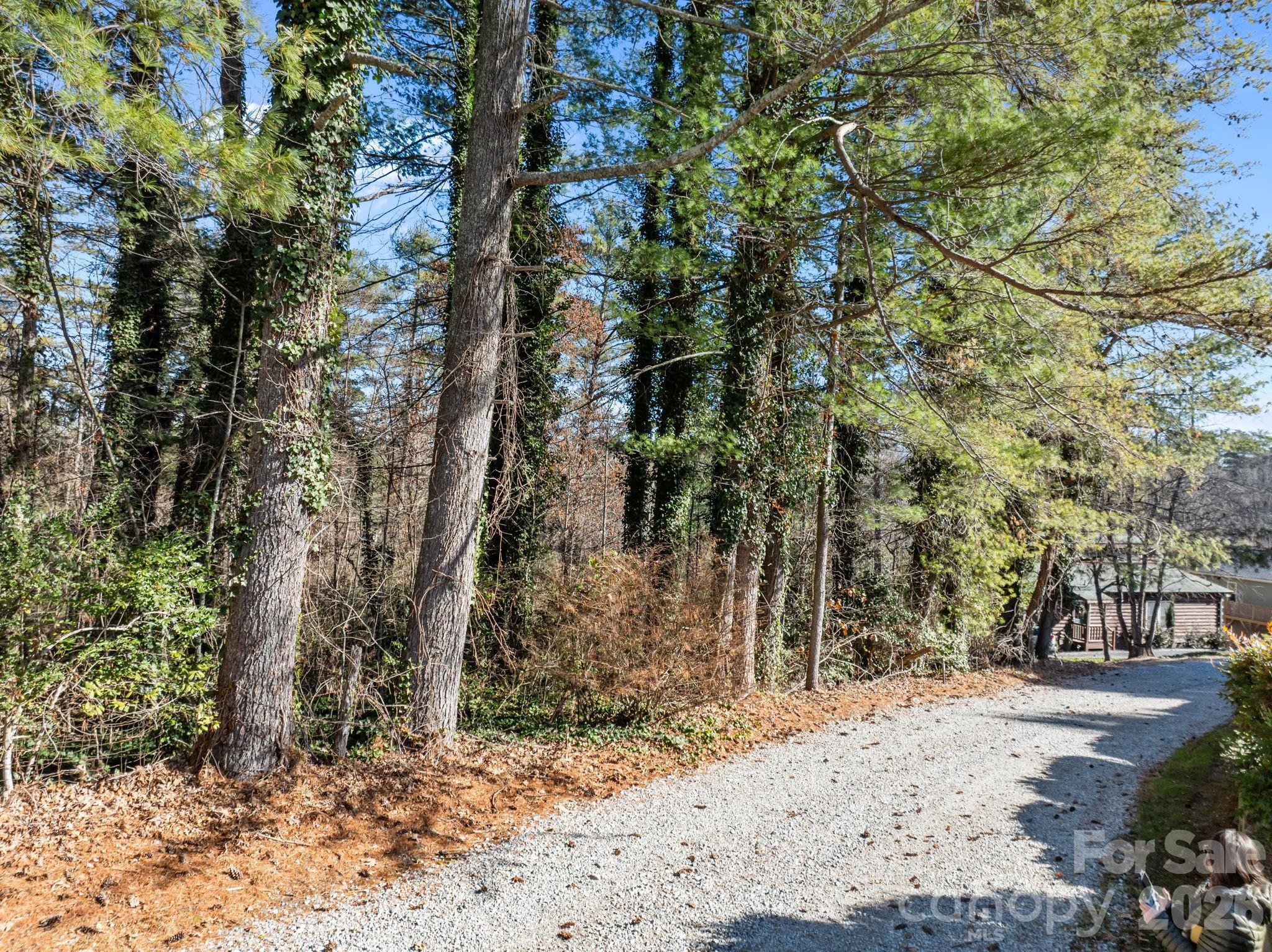 000 Oscelake Way Hendersonville NC 28739