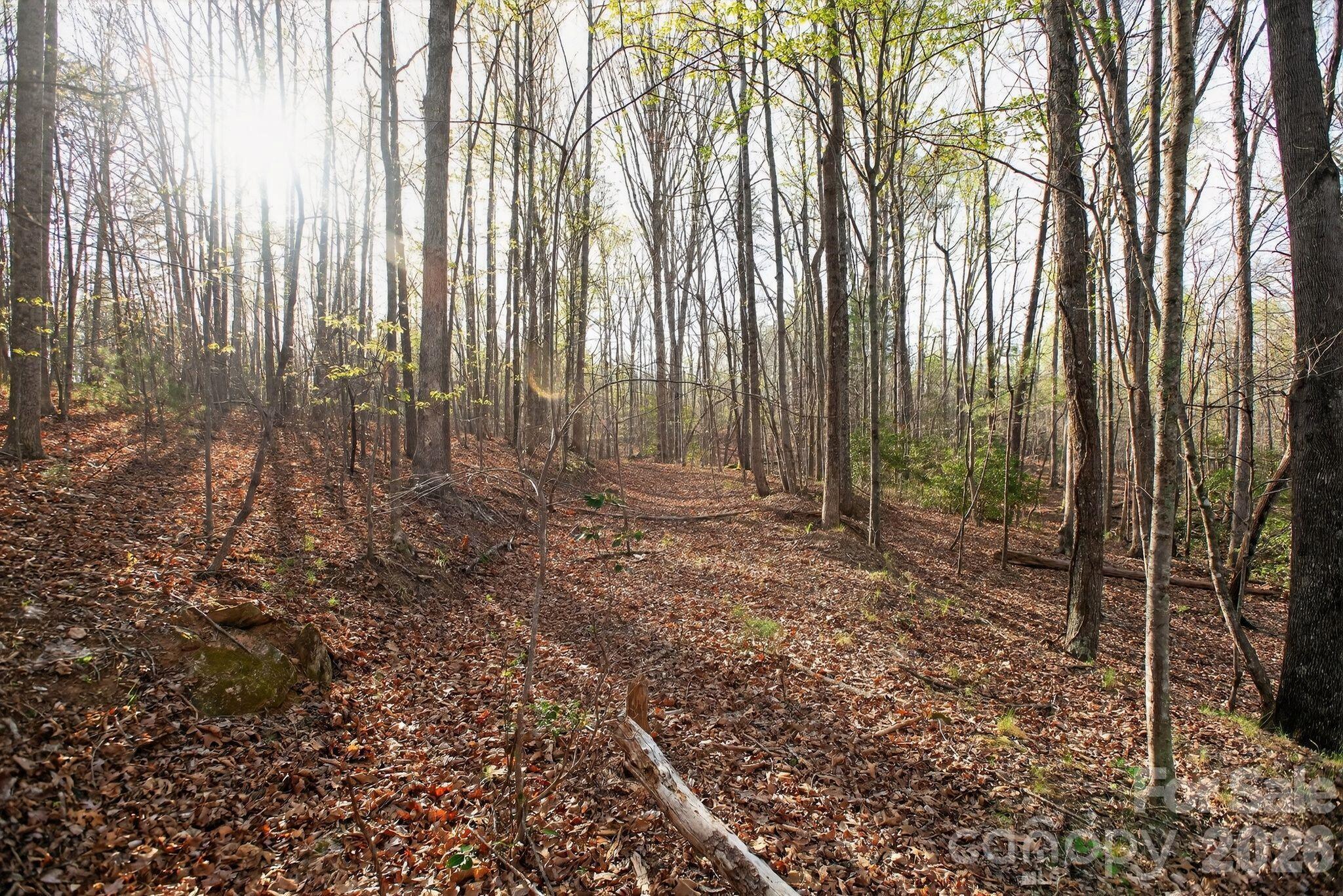 Lot 62 Dirksen Avenue Nebo NC 28655