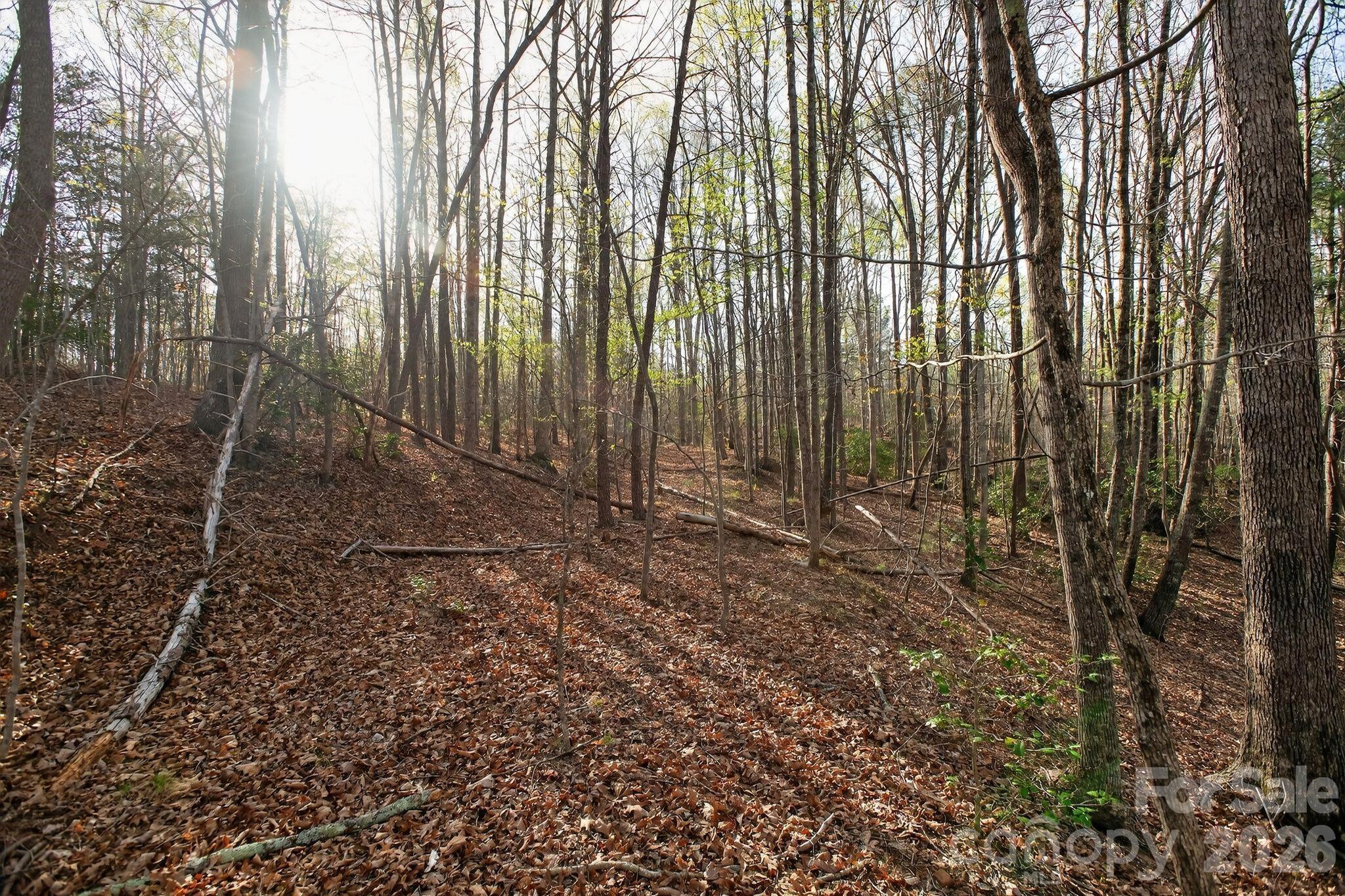 Lot 62 Dirksen Avenue Nebo NC 28655