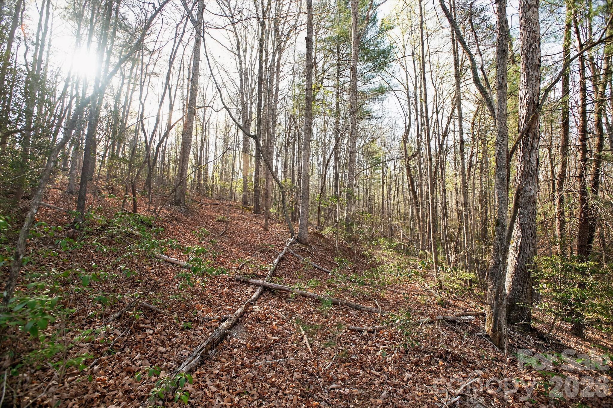 Lot 62 Dirksen Avenue Nebo NC 28655