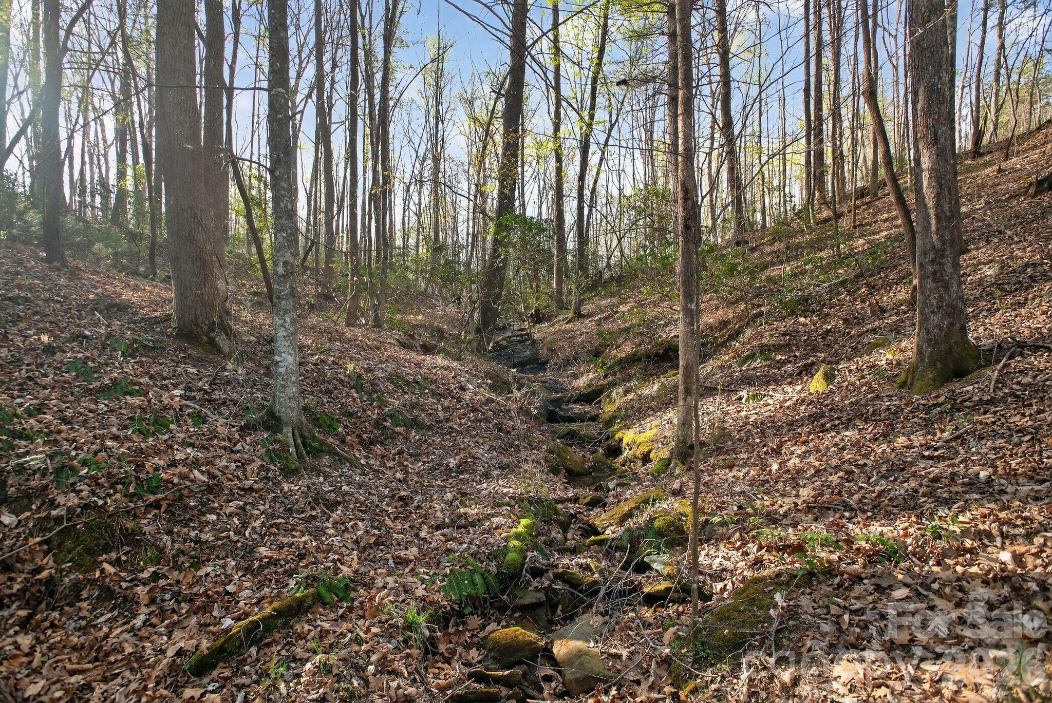 Lot 62 Dirksen Avenue Nebo NC 28655