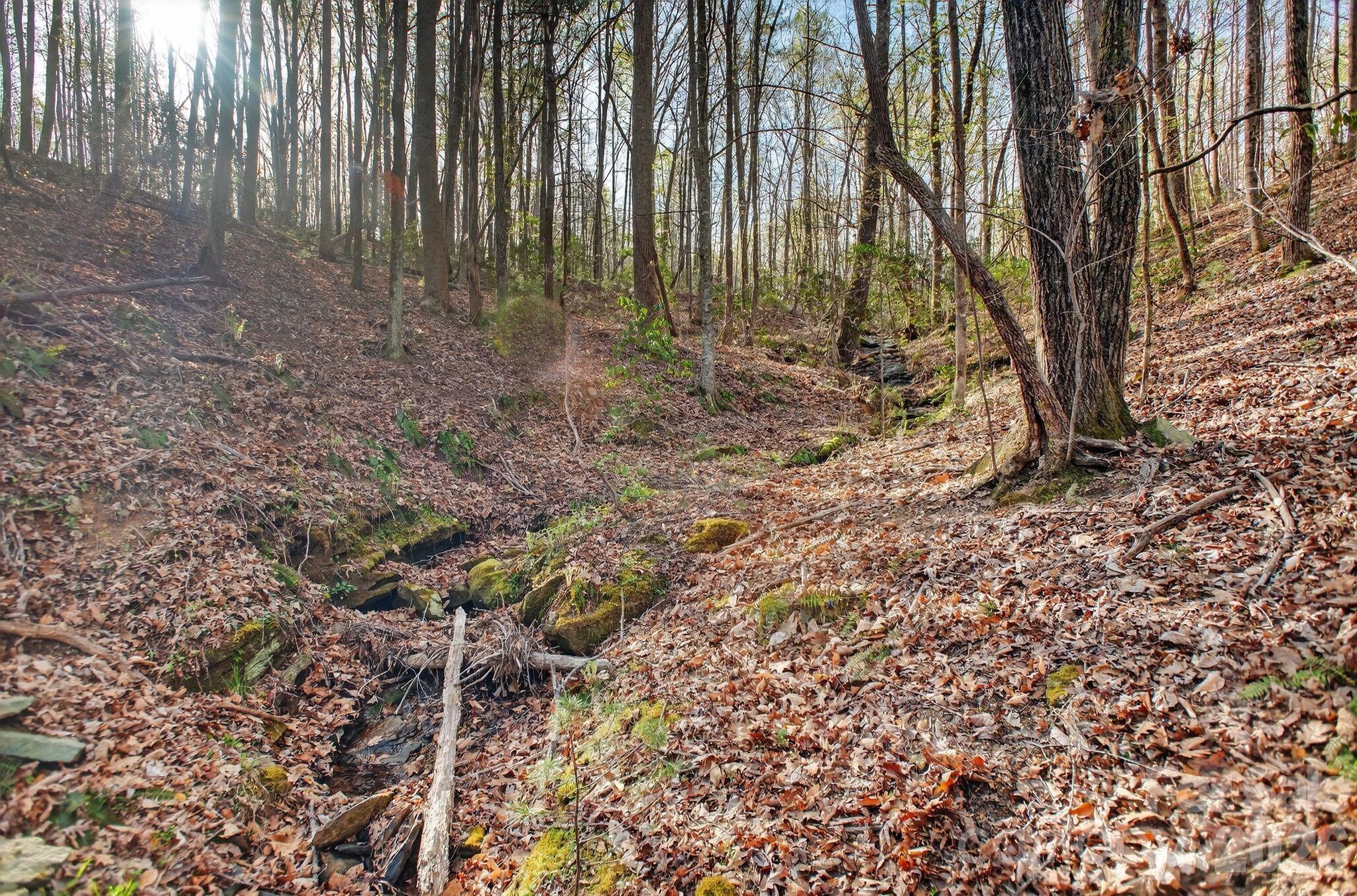 Lot 62 Dirksen Avenue Nebo NC 28655